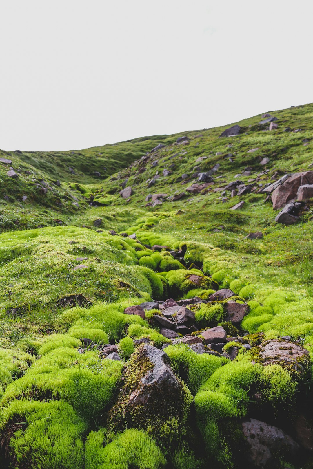 green grass covered mountain during daytime