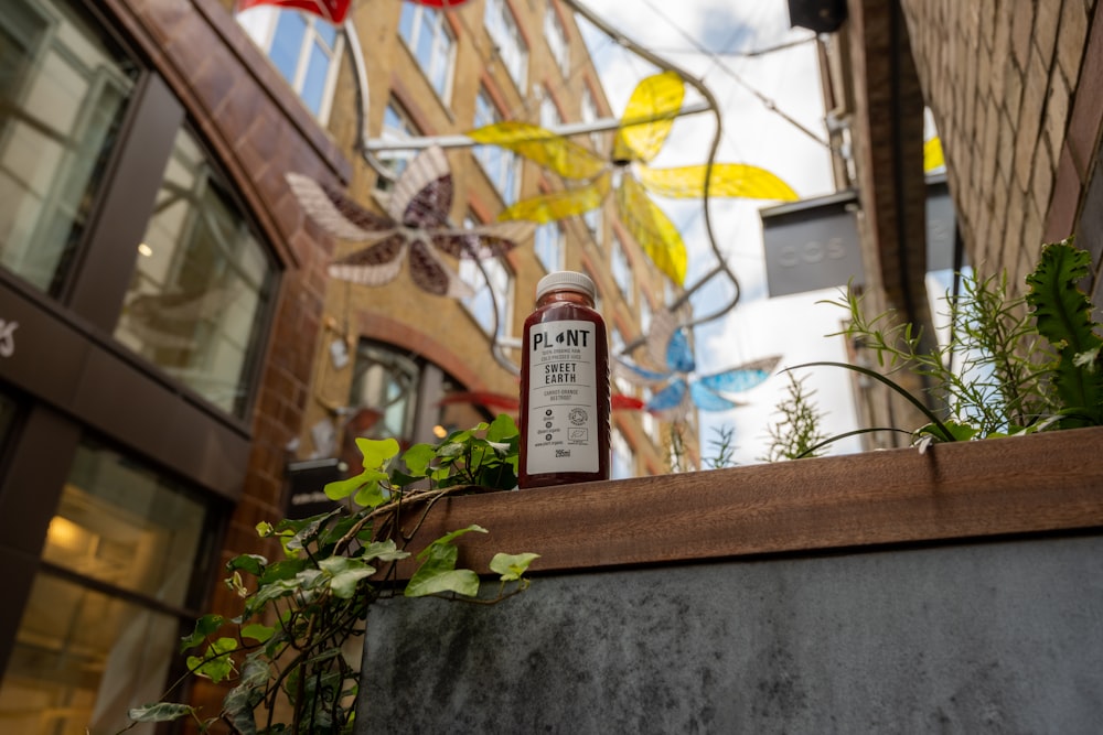 white labeled bottle on gray concrete wall