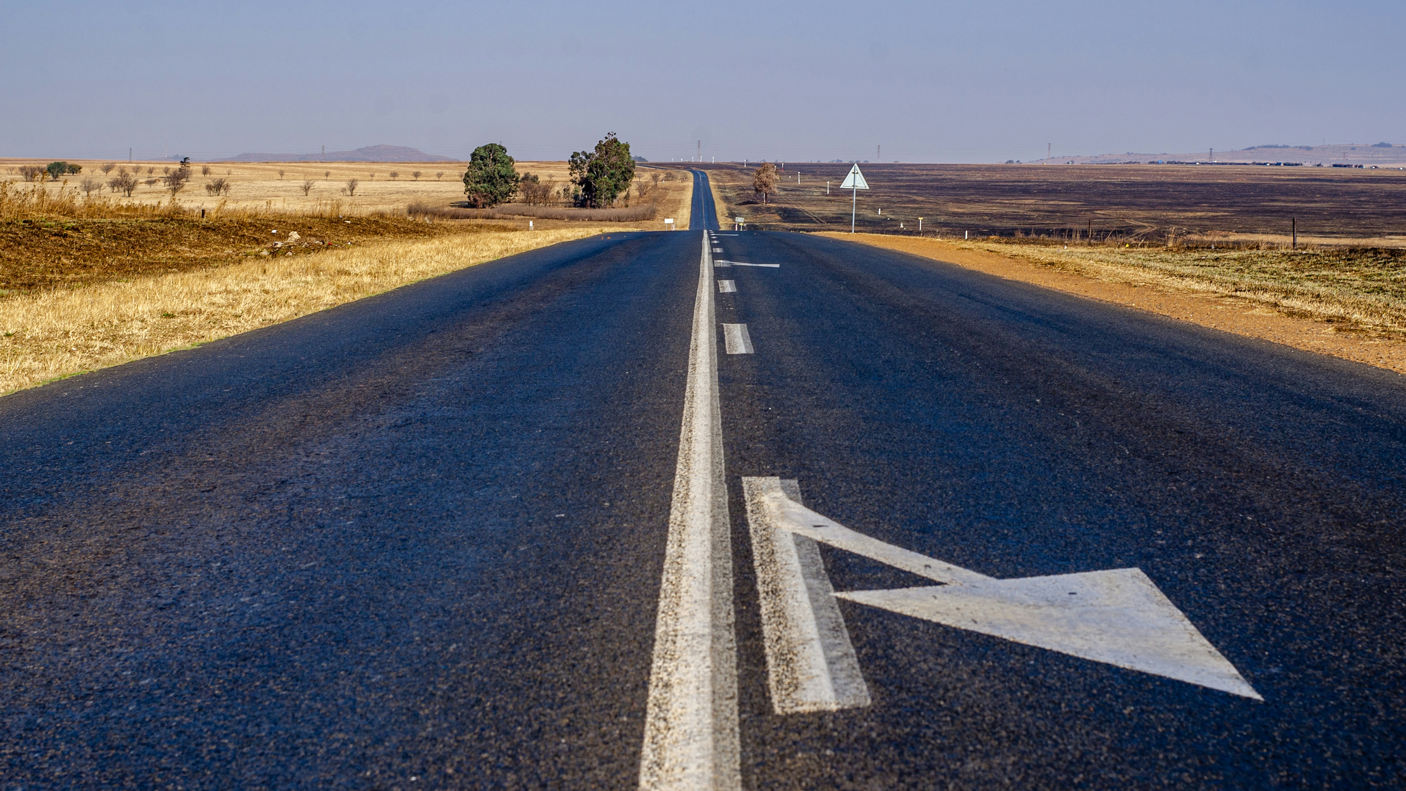 Photo by stewardesign