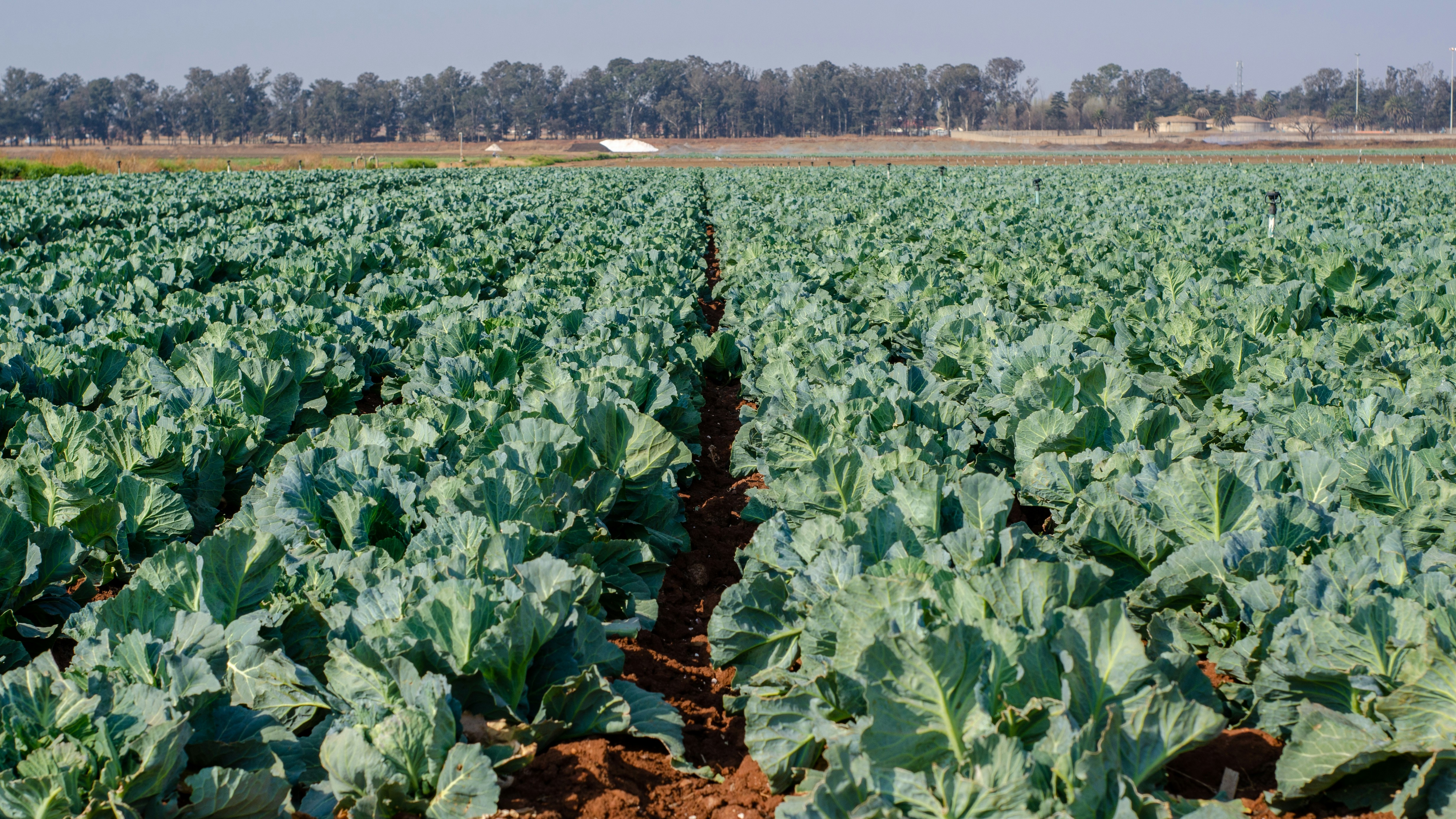 Photo by stewardesign