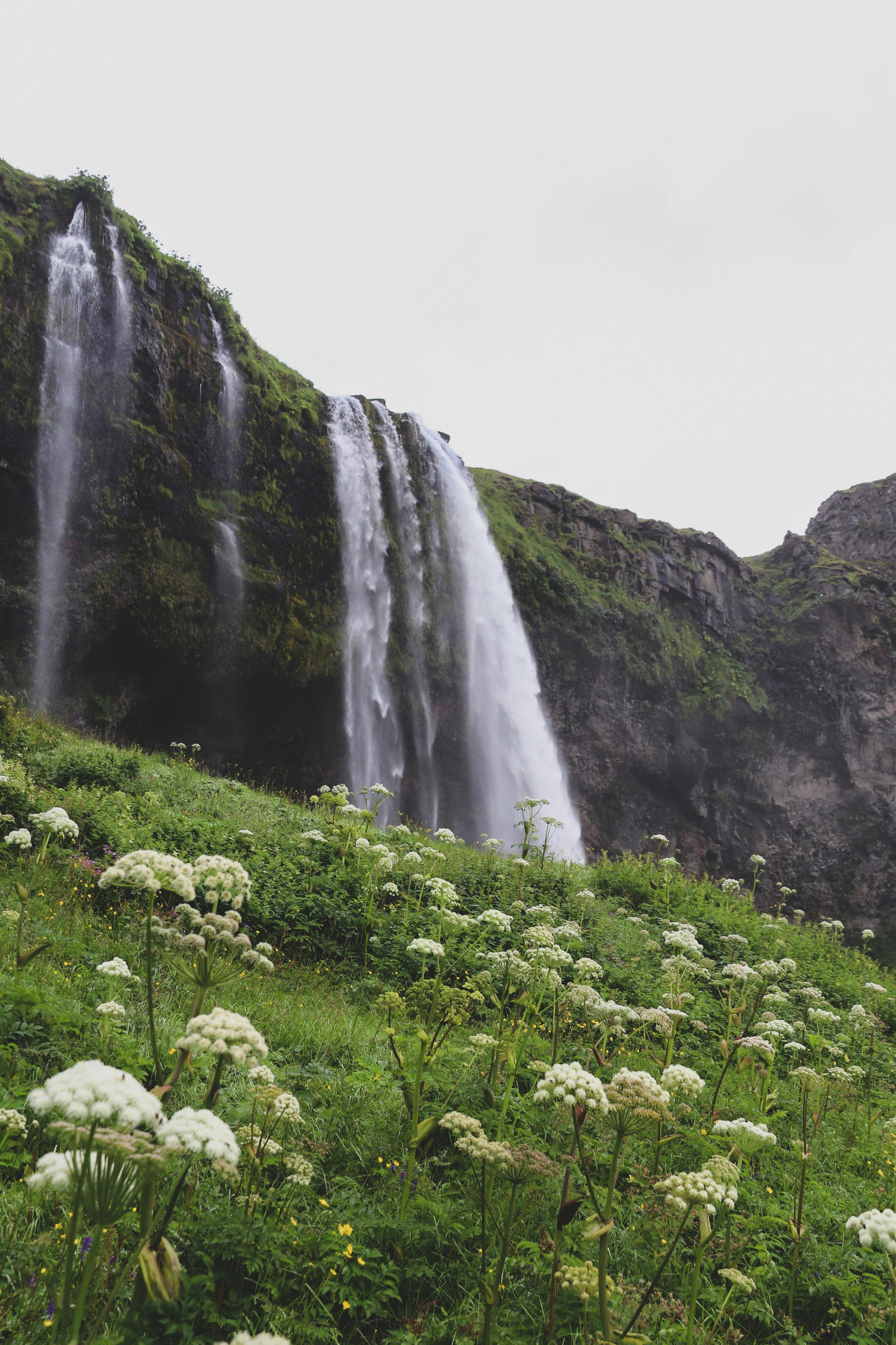 green grass near waterfalls during daytime