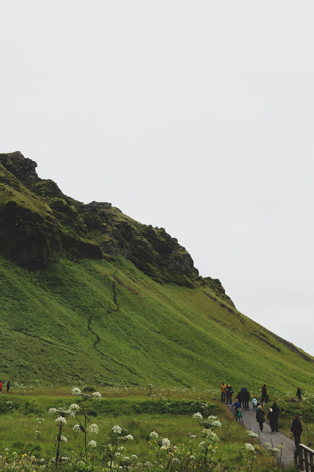 green grass covered mountain during daytime