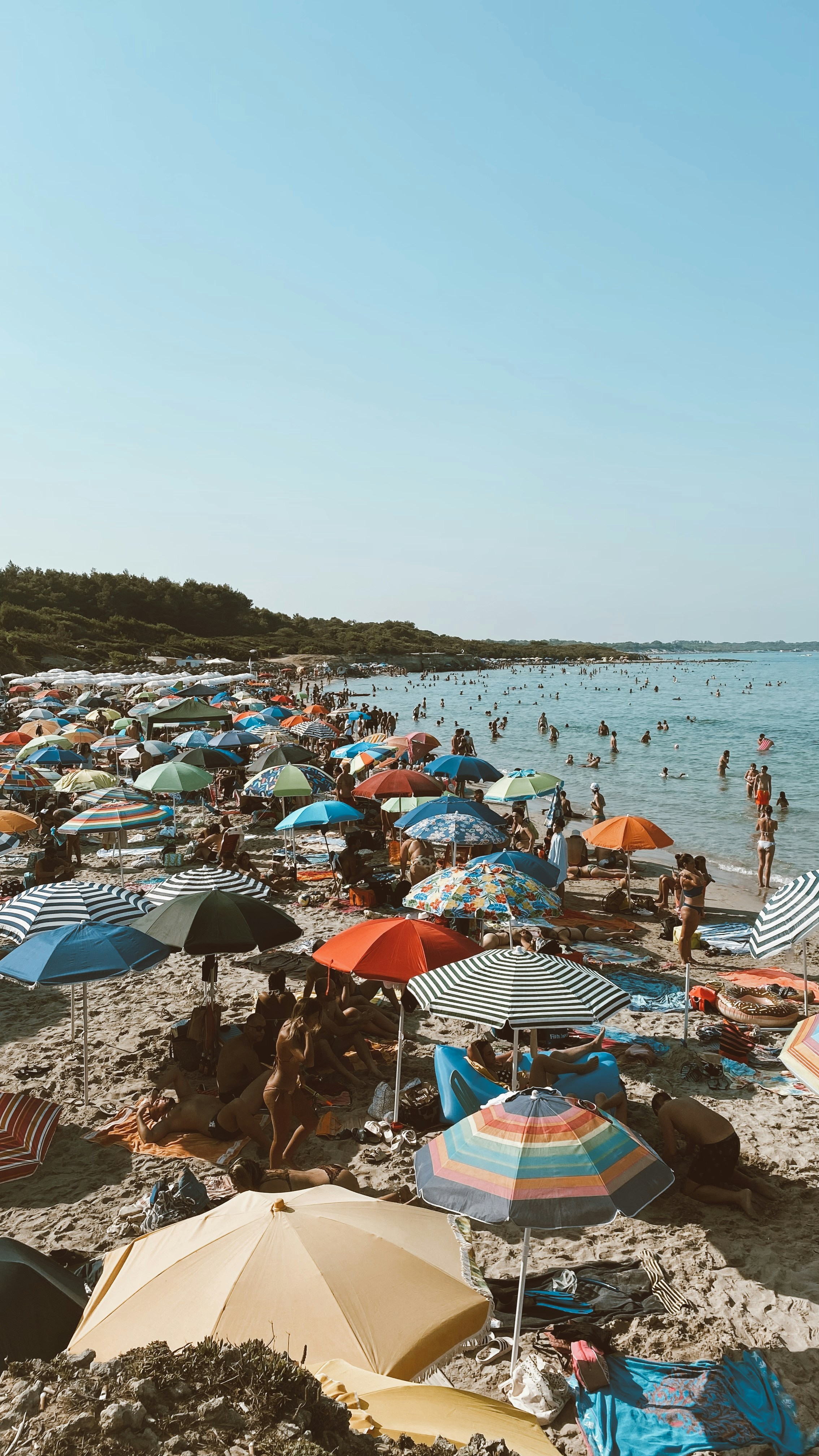 Photo by josedibattista