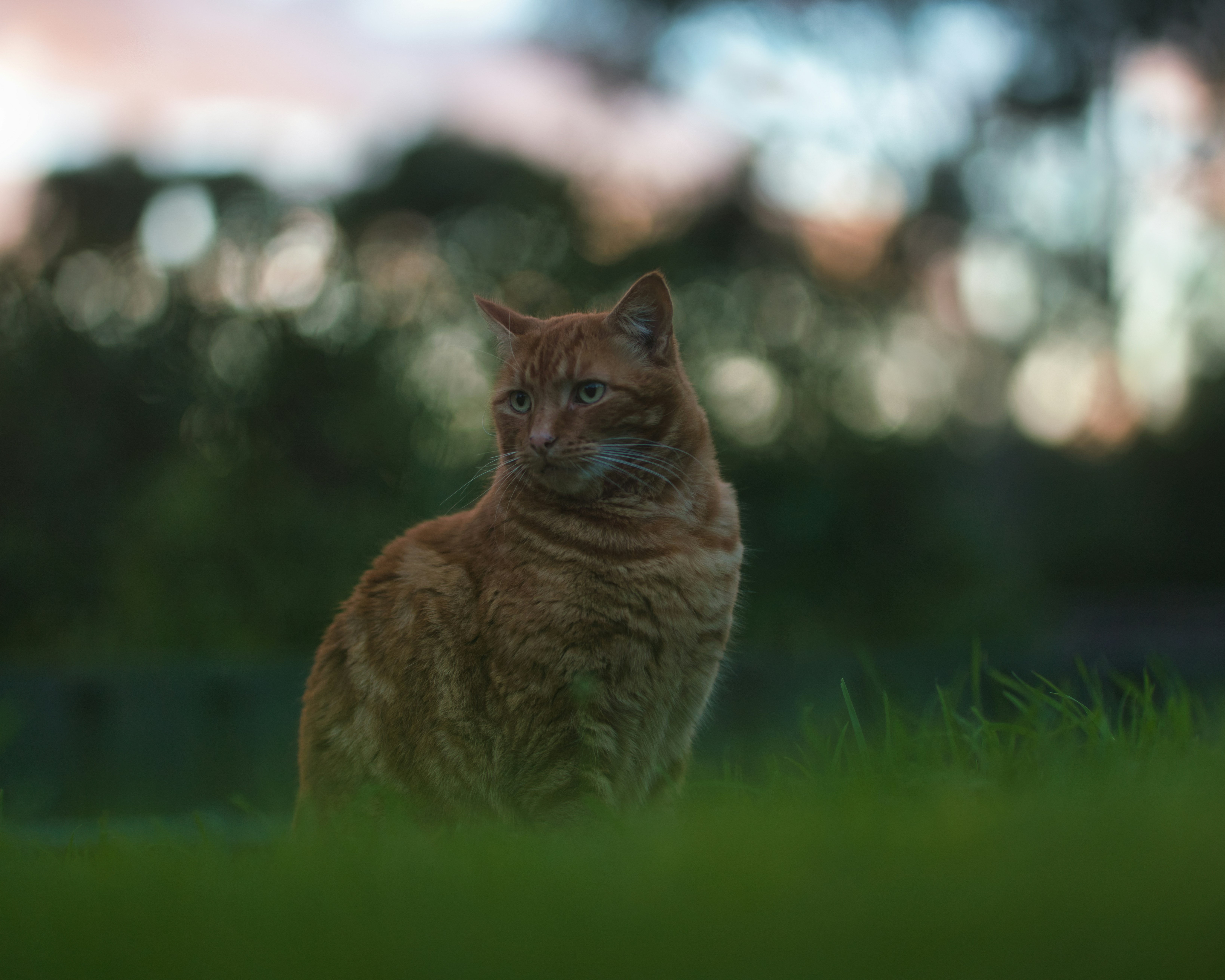 Photo by ravindrarawat2