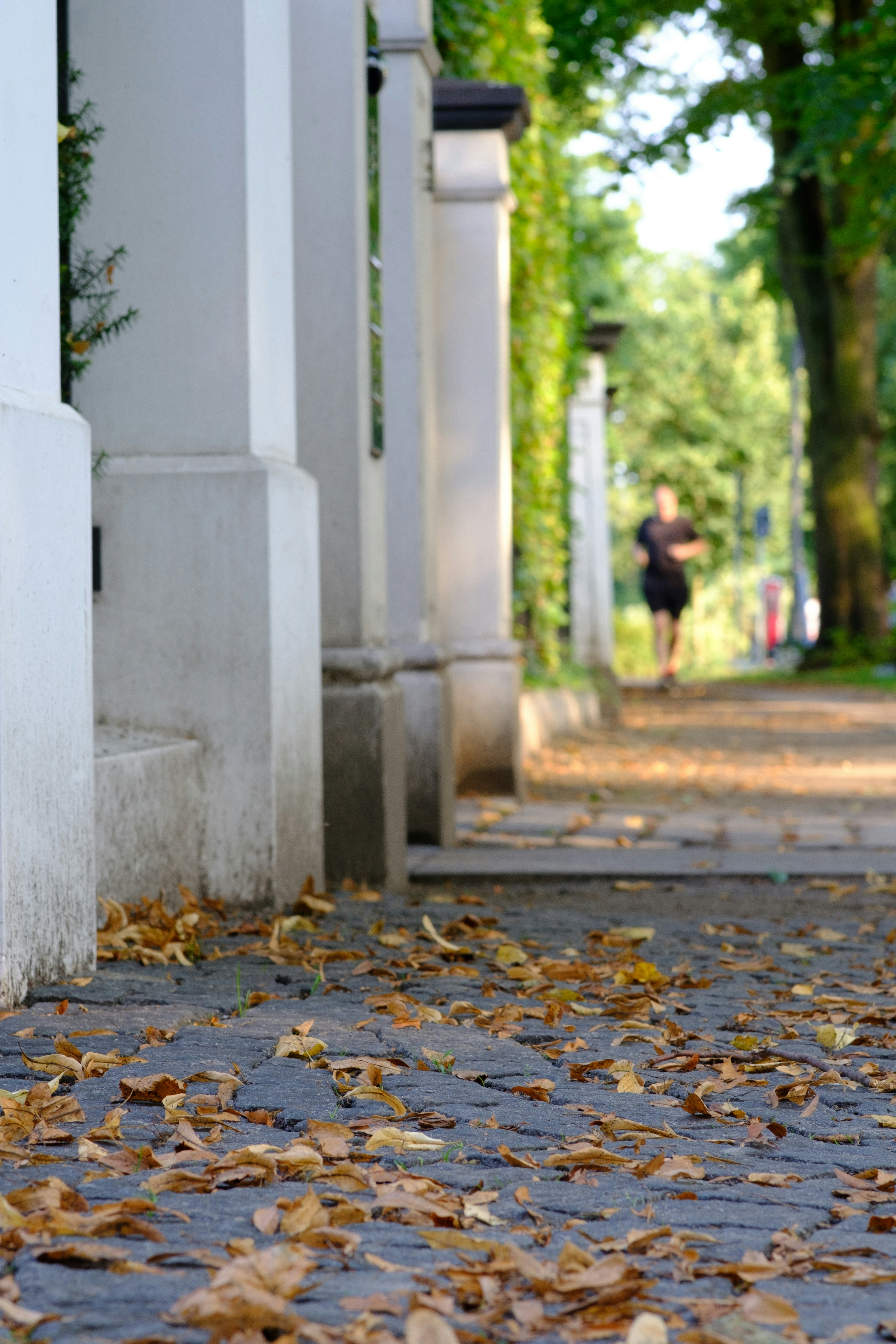 Photo by sebastiandotjpg