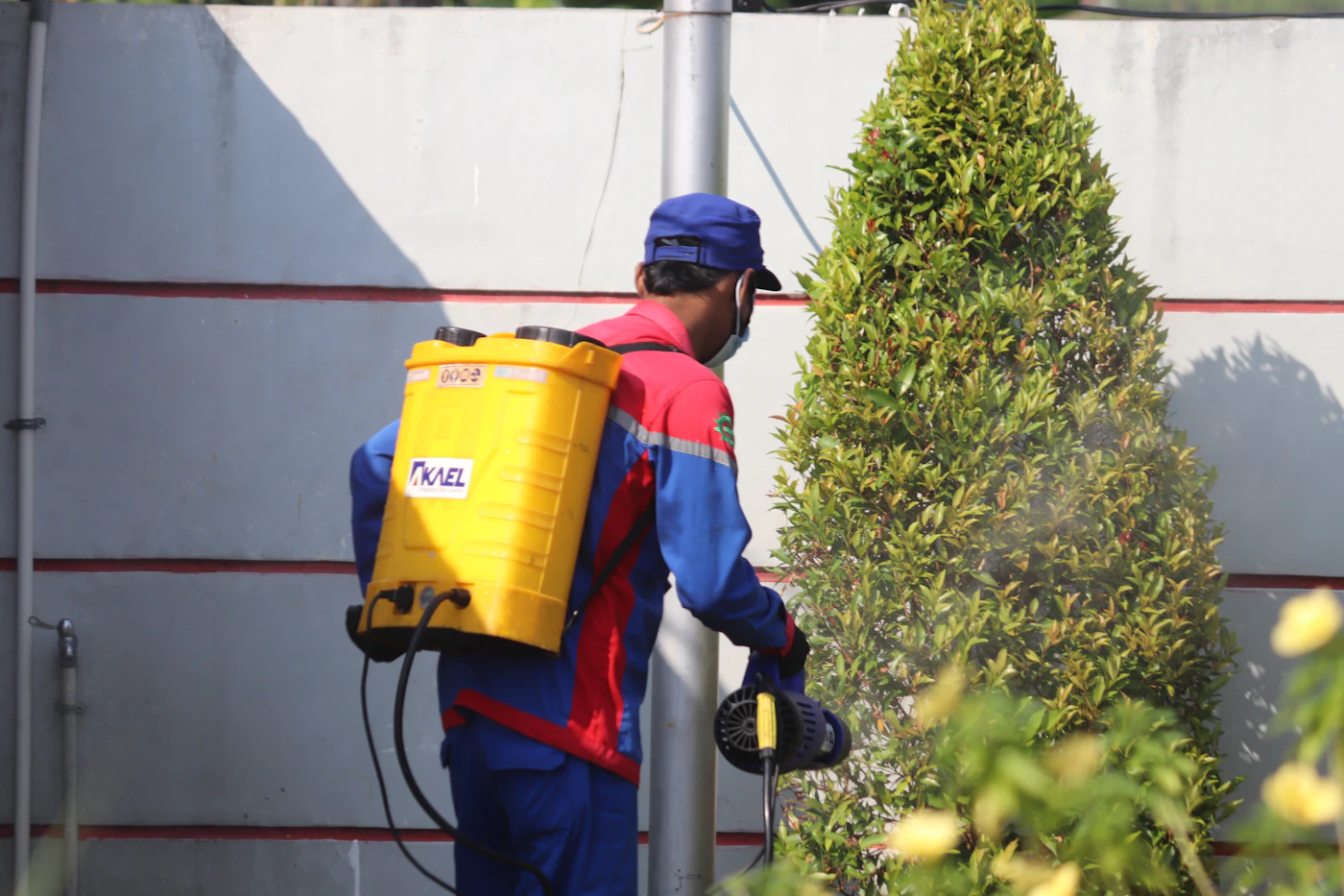 Pest control worker carrying treatment equipment