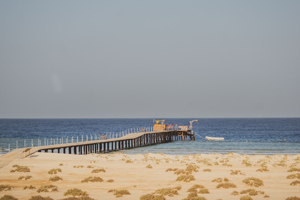 people on beach during daytime