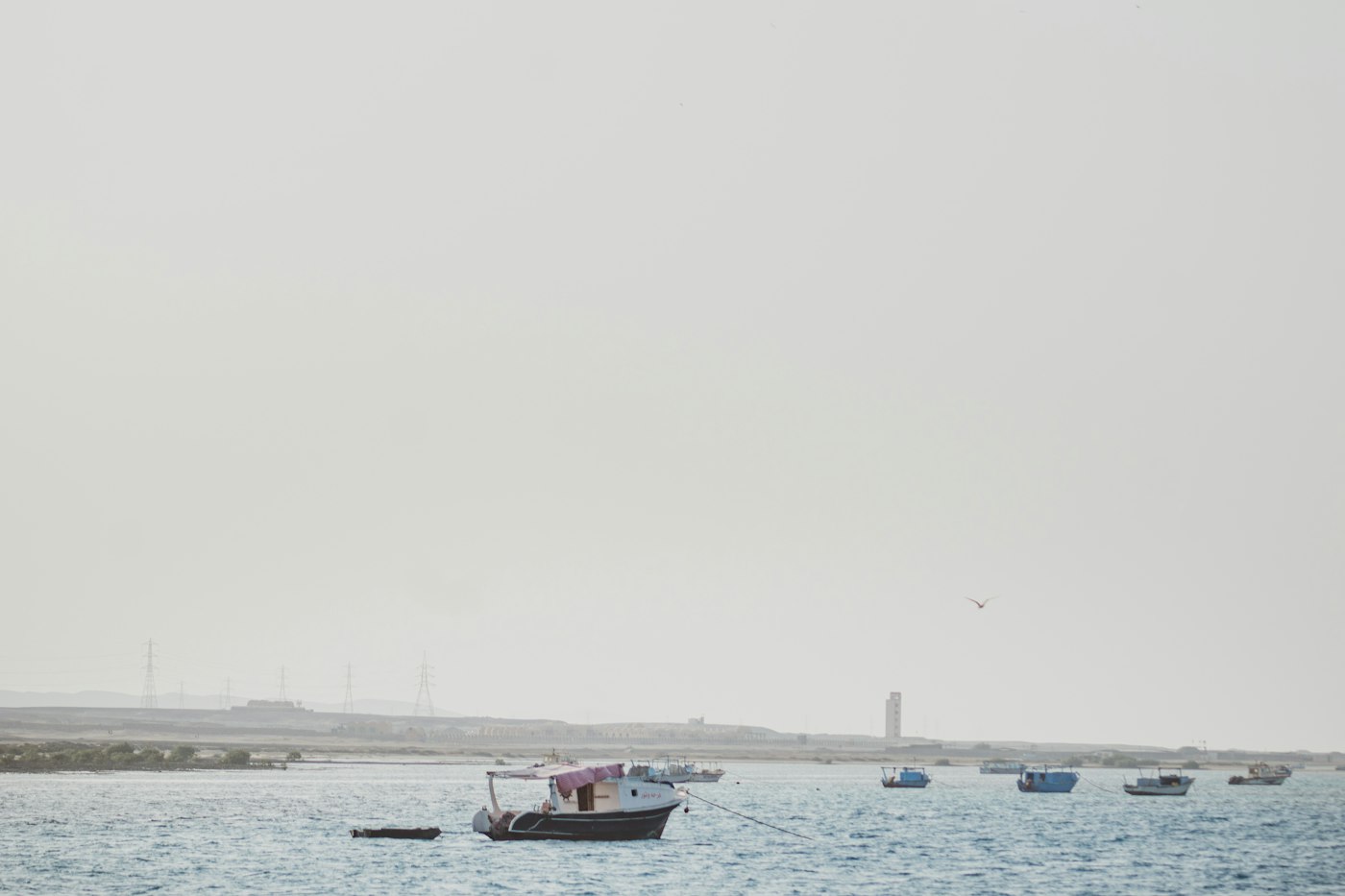 طابا ونويبع