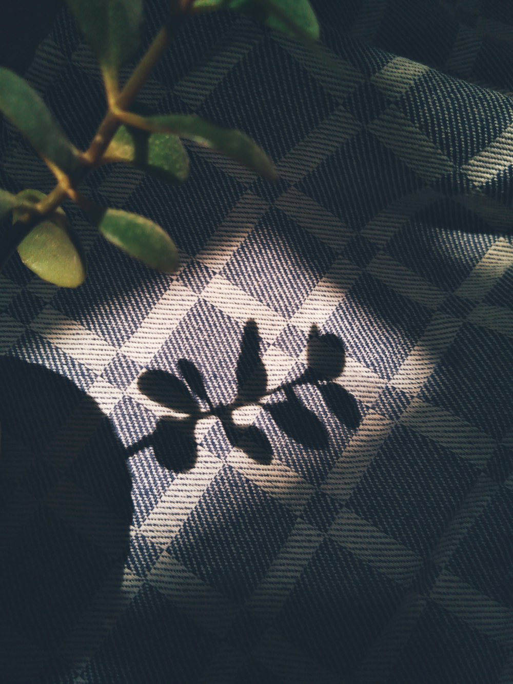 green leaves on black and white textile