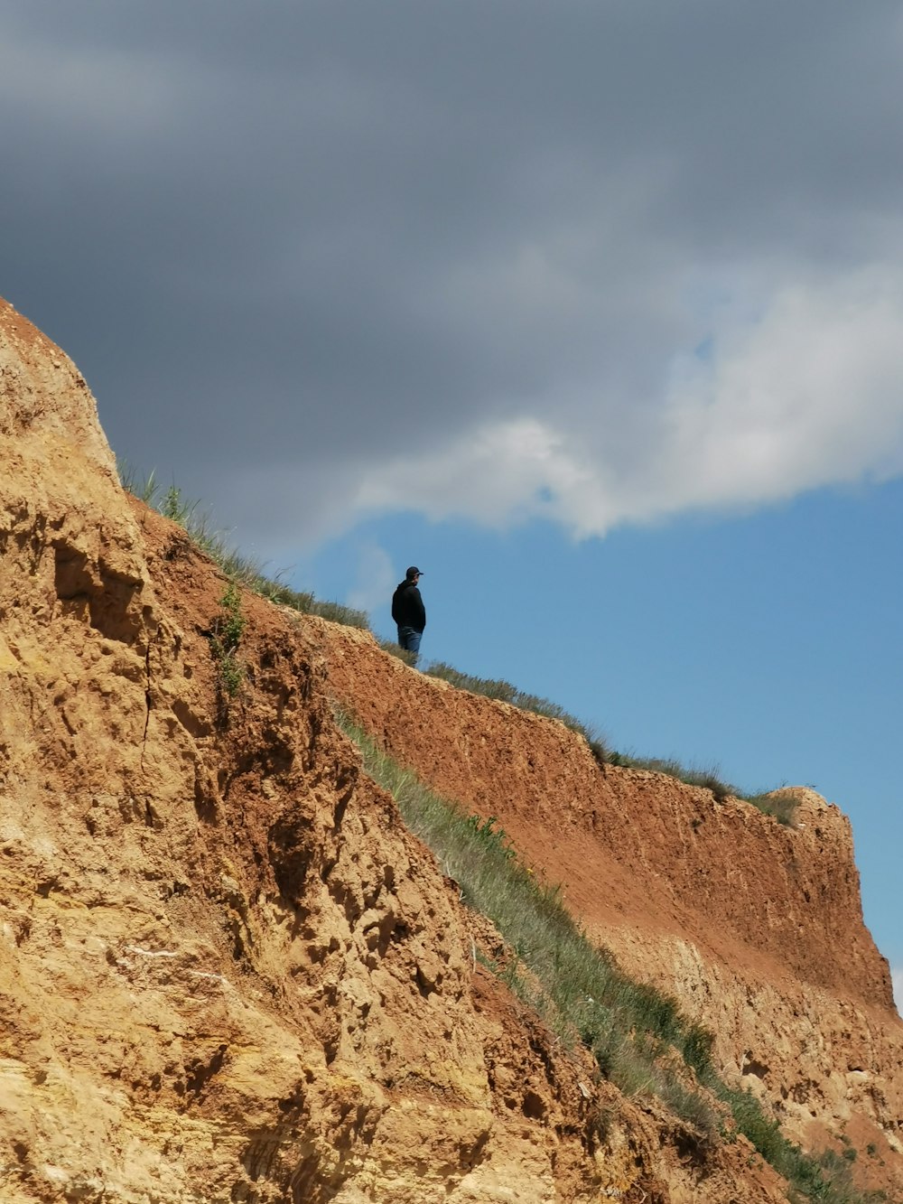 black bird on brown rock formation during daytime