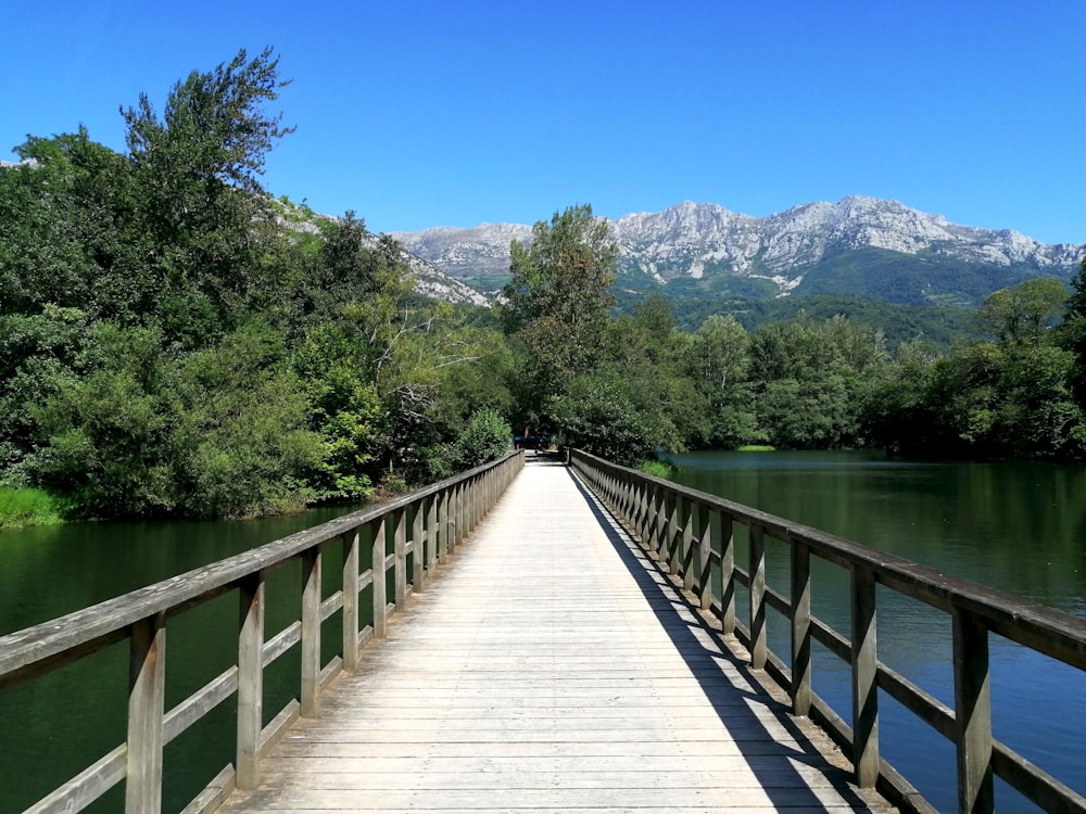 Braune Holzbrücke über den Fluss