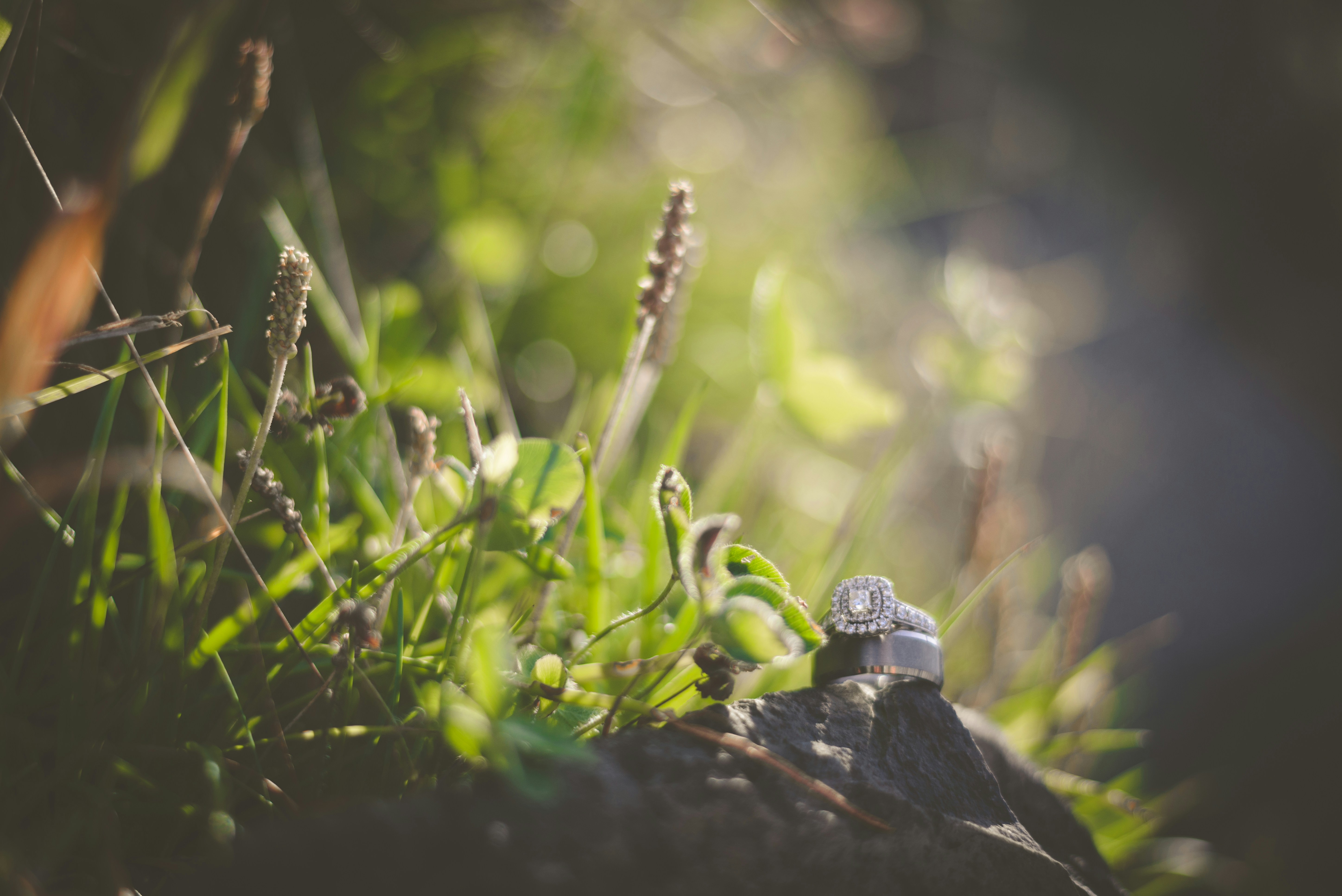 Photo by porkbellysteve