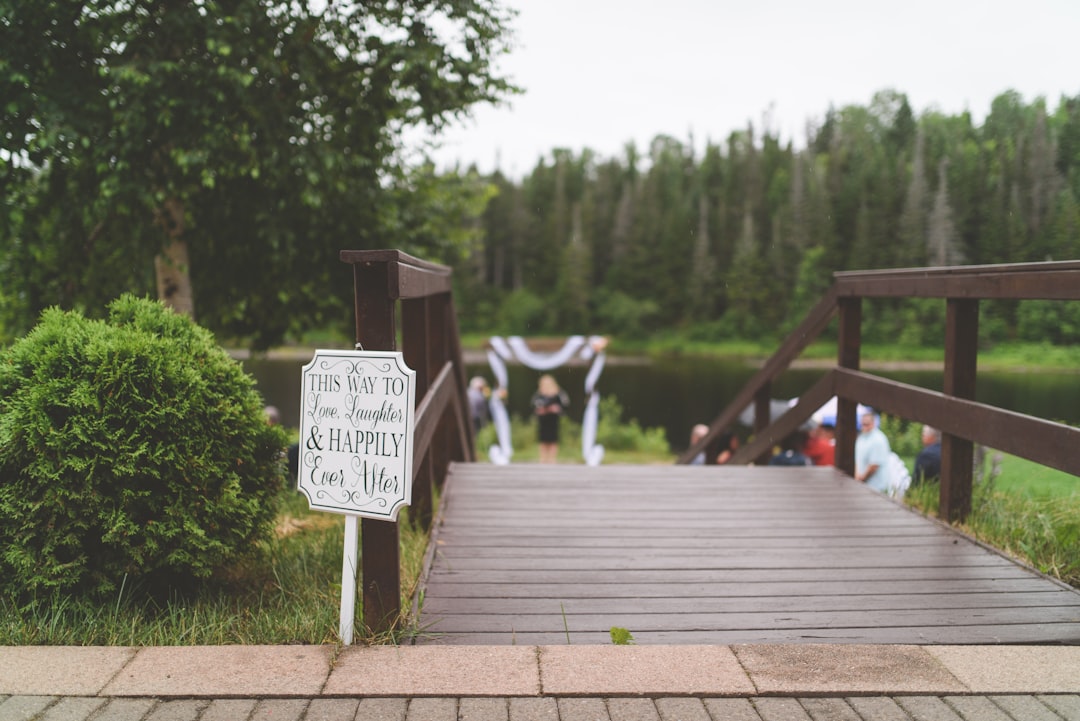 white and black dog on brown wooden bridge