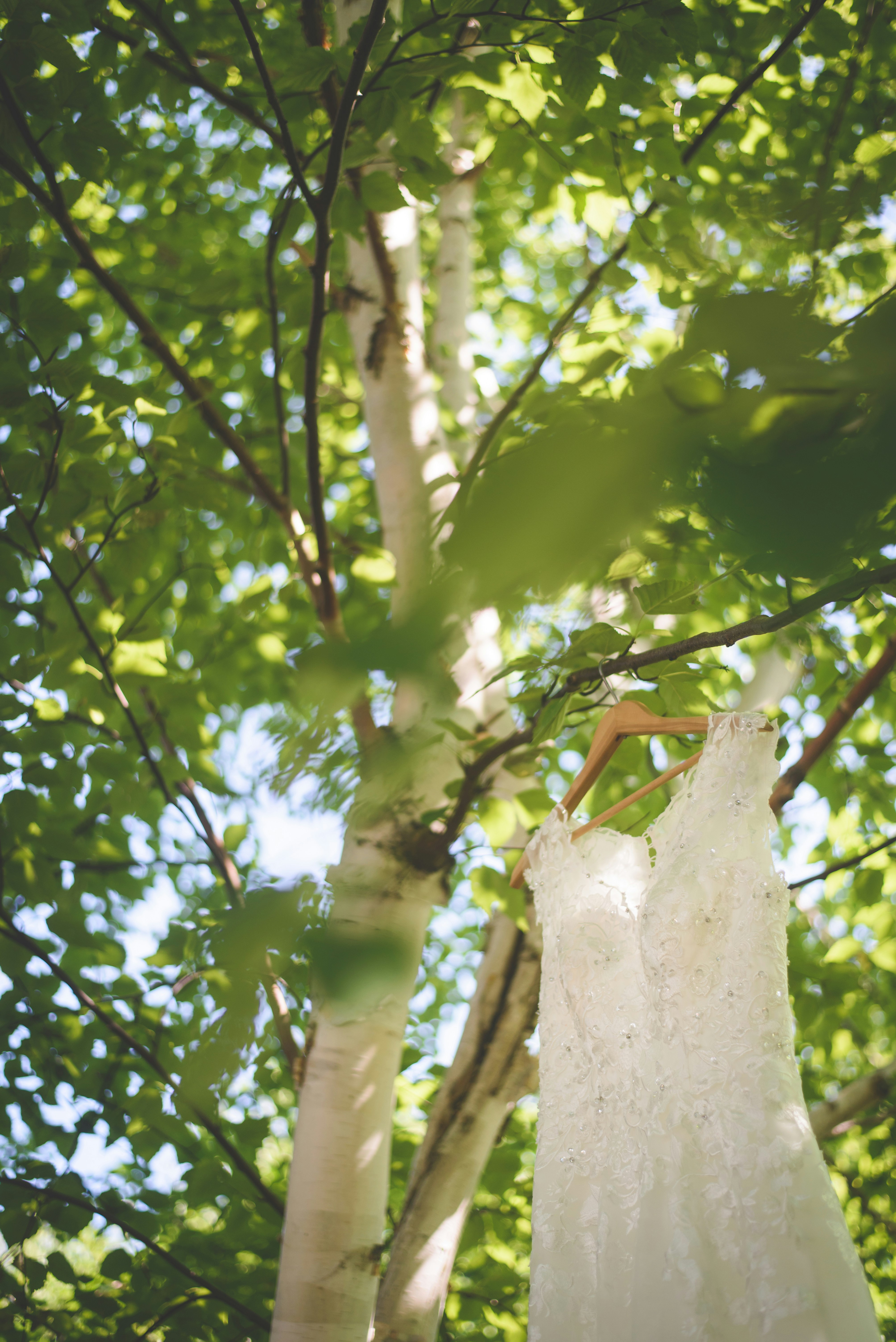 Photo by porkbellysteve