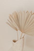 white umbrella on brown wooden table