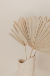 white umbrella on brown wooden table