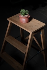 green potted plant on brown wooden table
