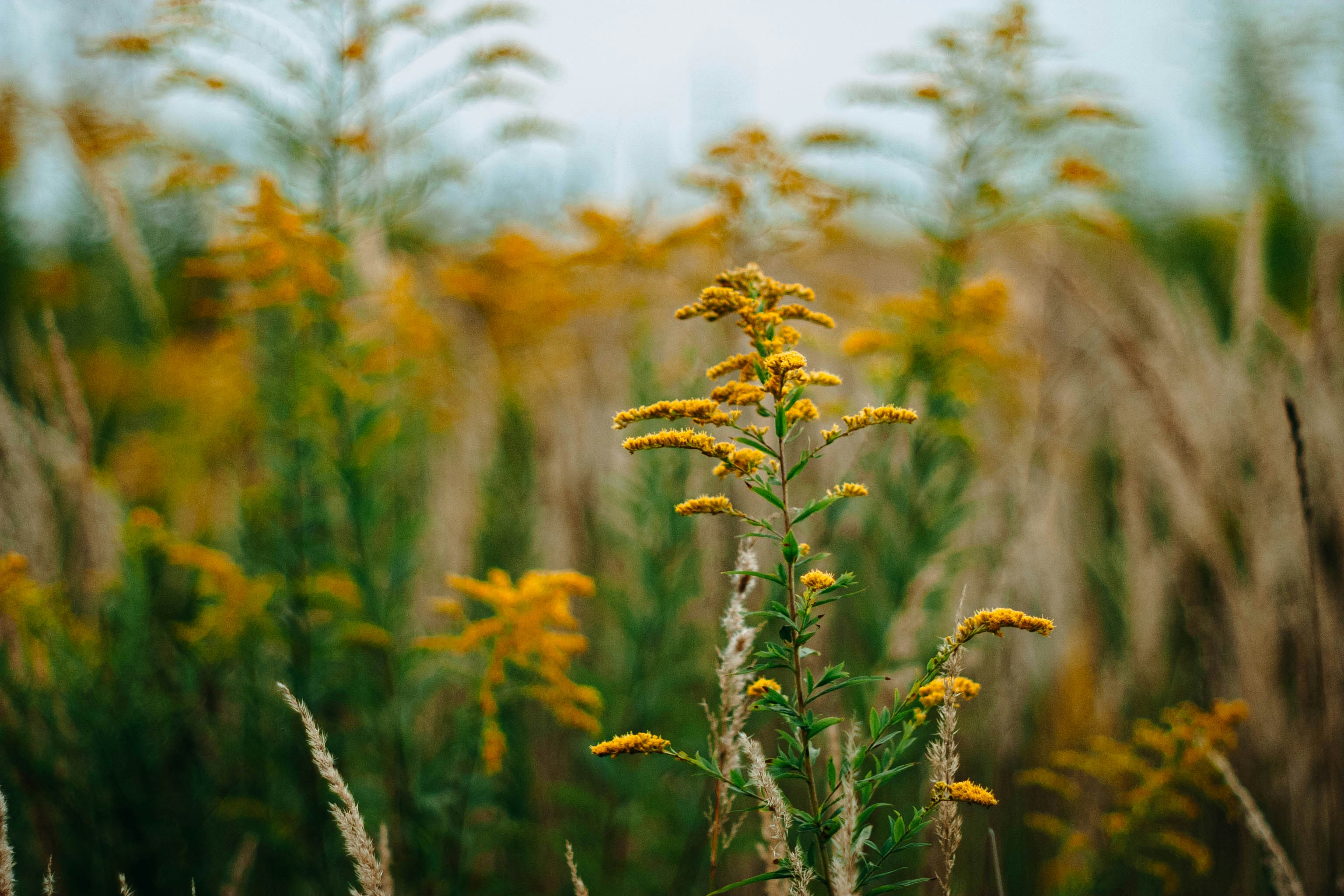 Photo by alexkorchevski