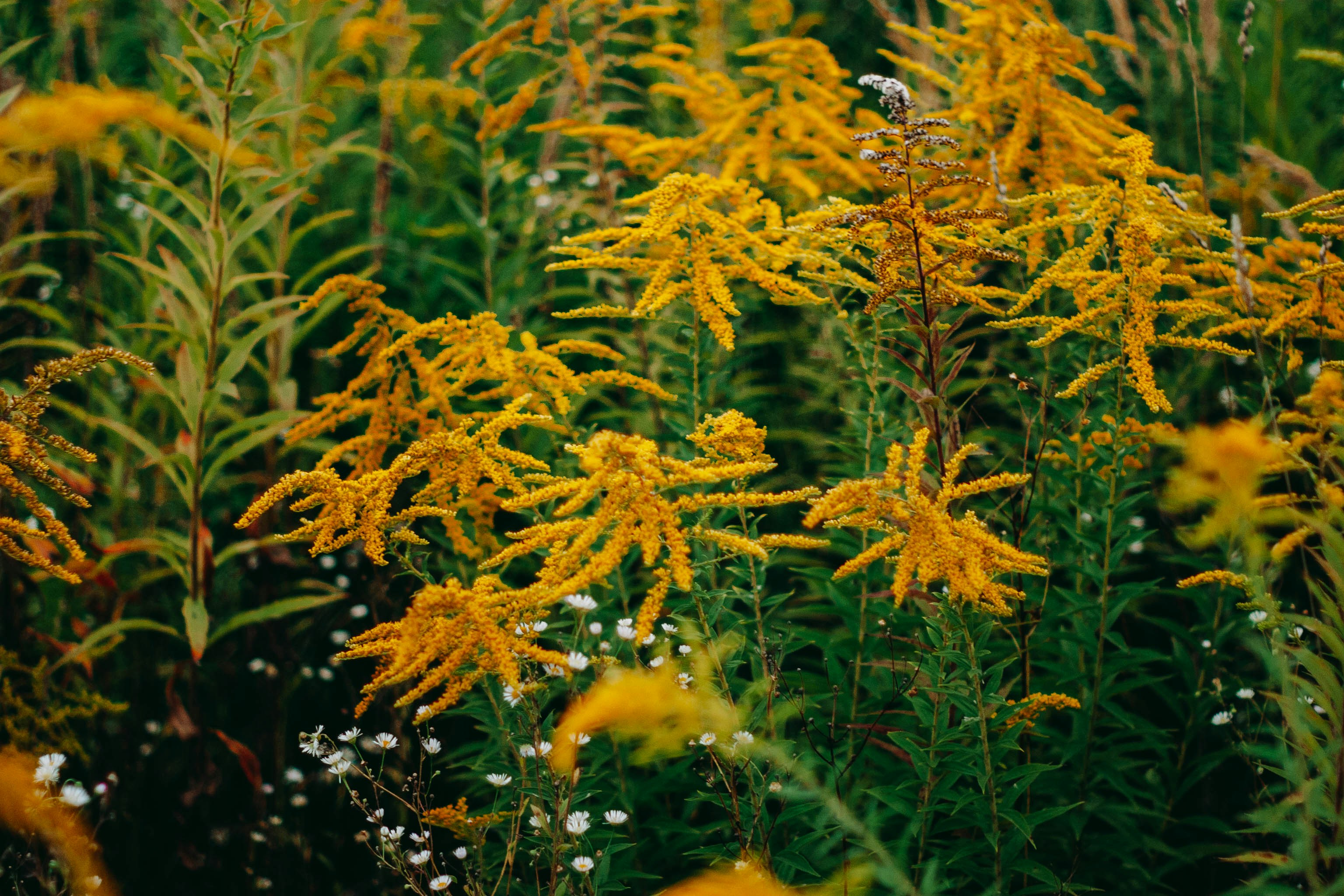 Photo by alexkorchevski