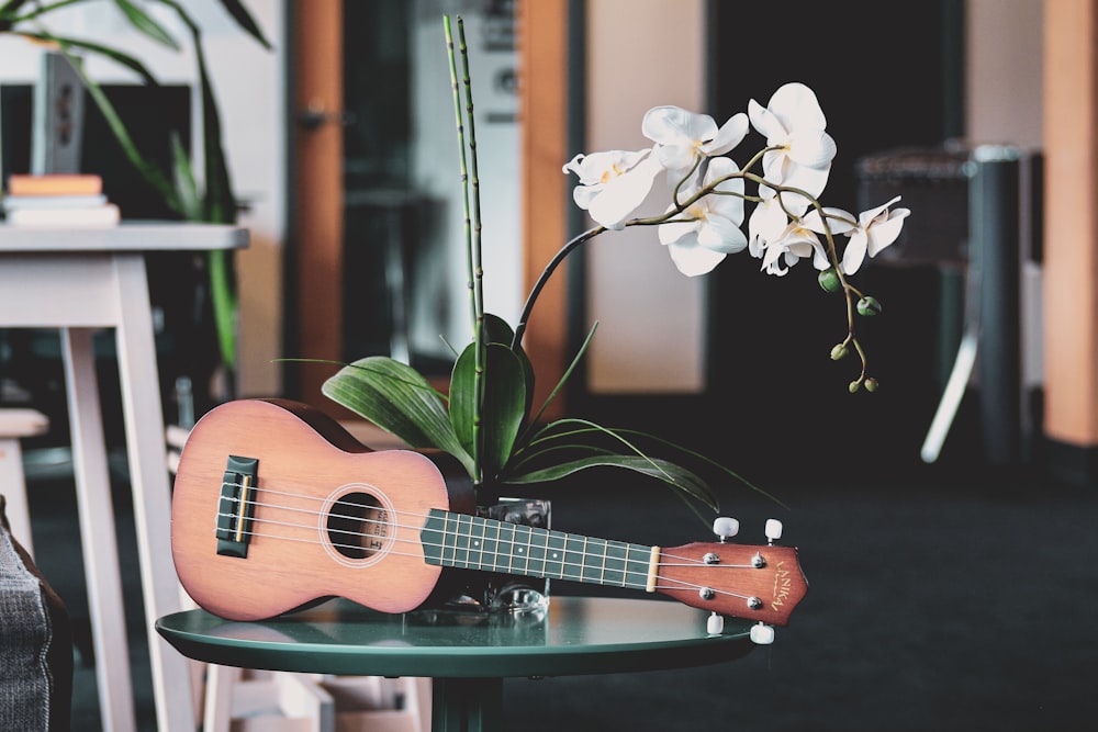 chitarra acustica marrone accanto alle orchidee bianche della falena