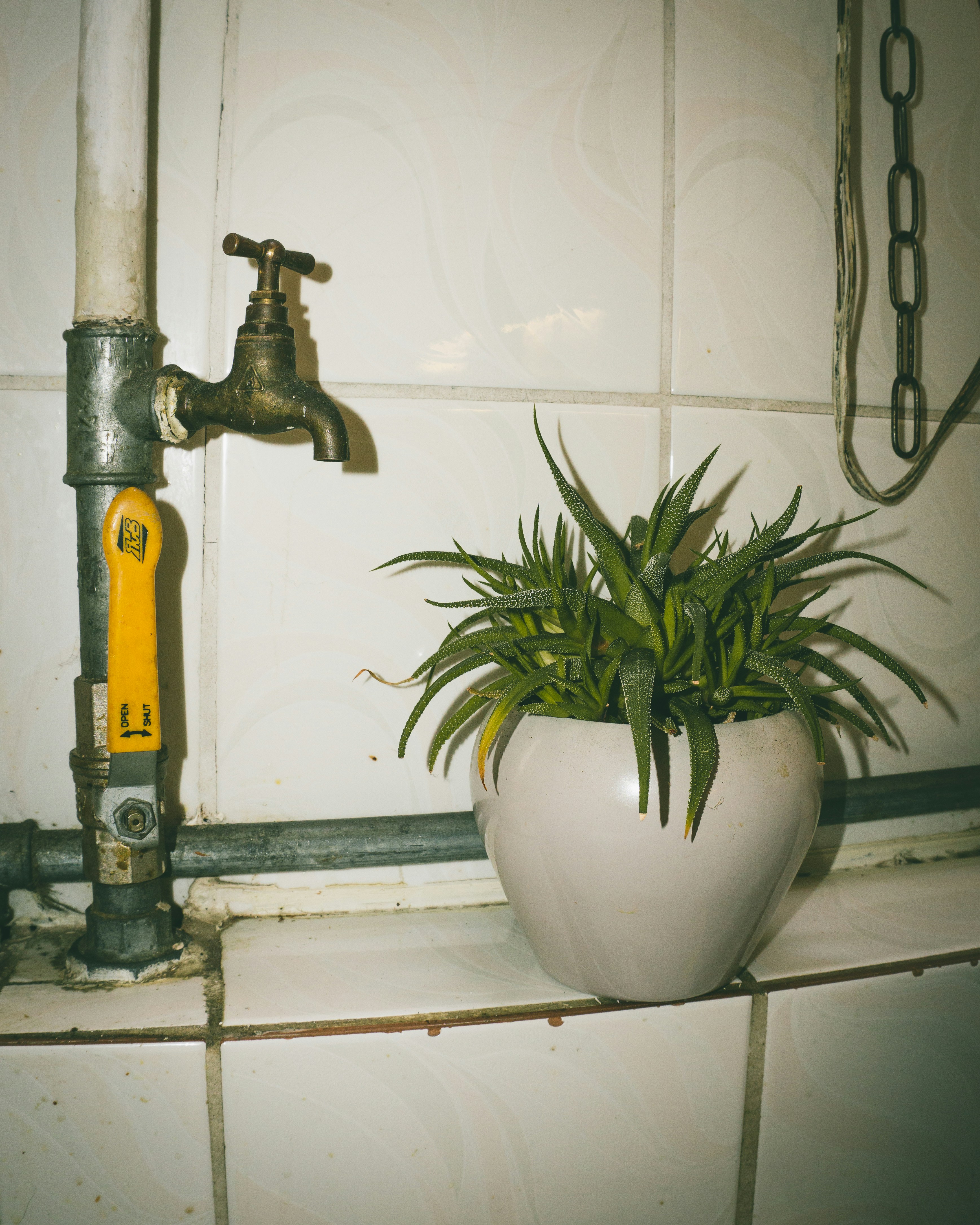 Water-Efficient Plumbing: Sustainable Solutions for Modern Homes