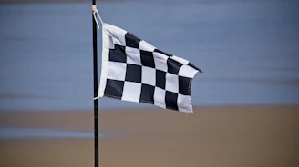 blue and white striped flag
