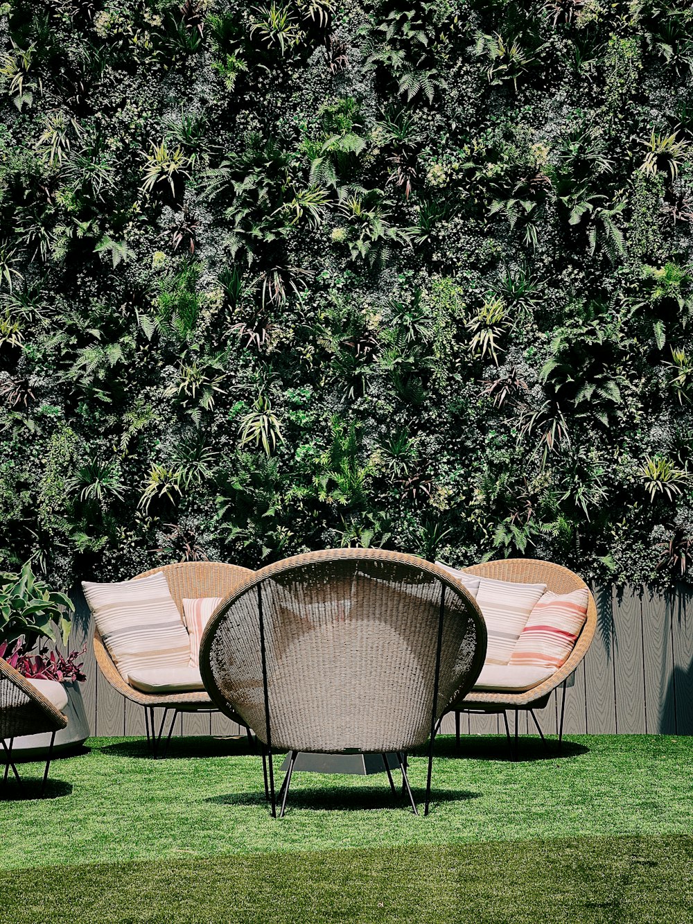 brown wicker chair near green leaf tree during daytime