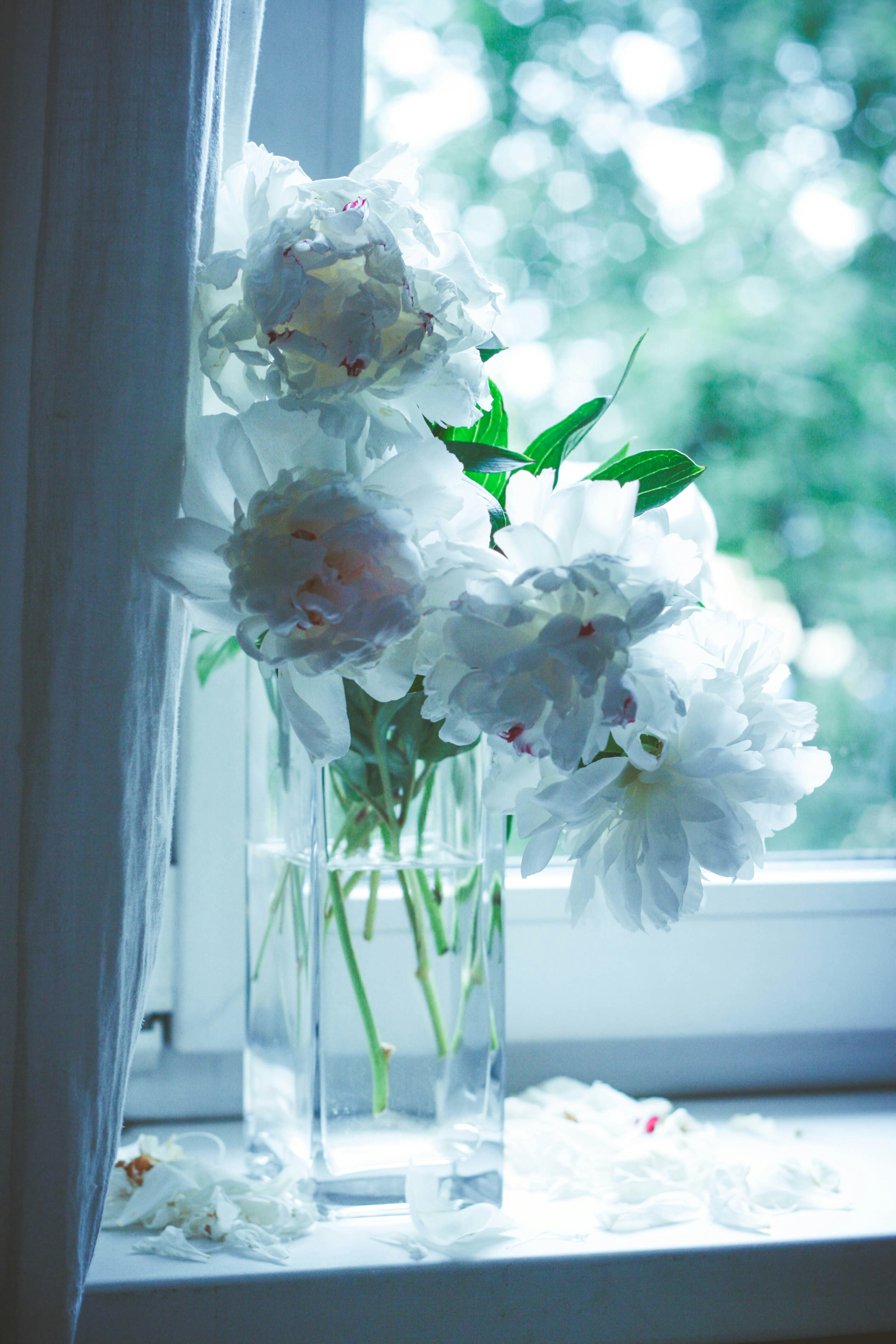 Photo by annaazart