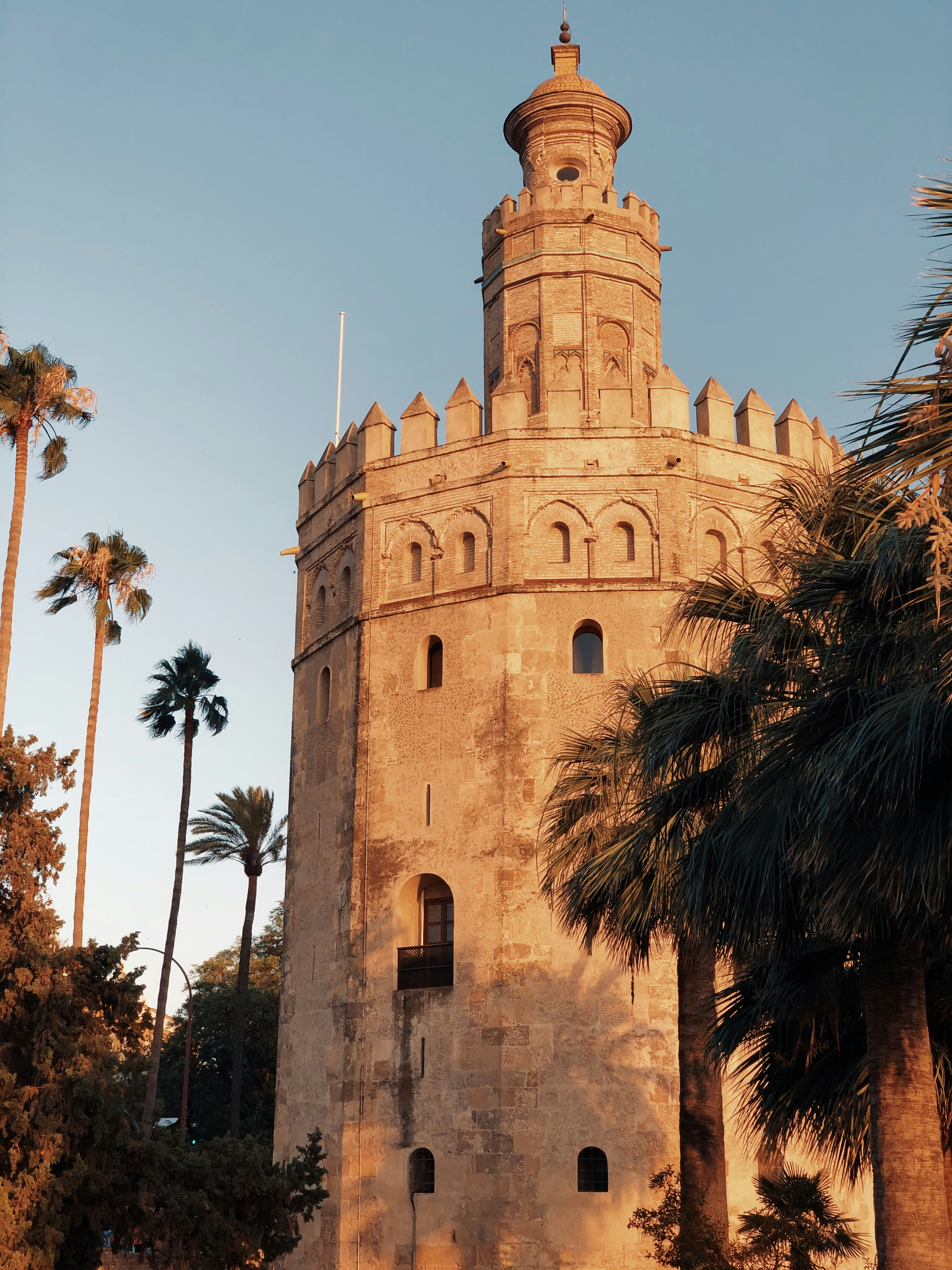 Tower with palm trees and blue skies