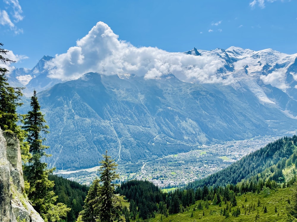 green trees and snow covered mountain under blue sky during daytime