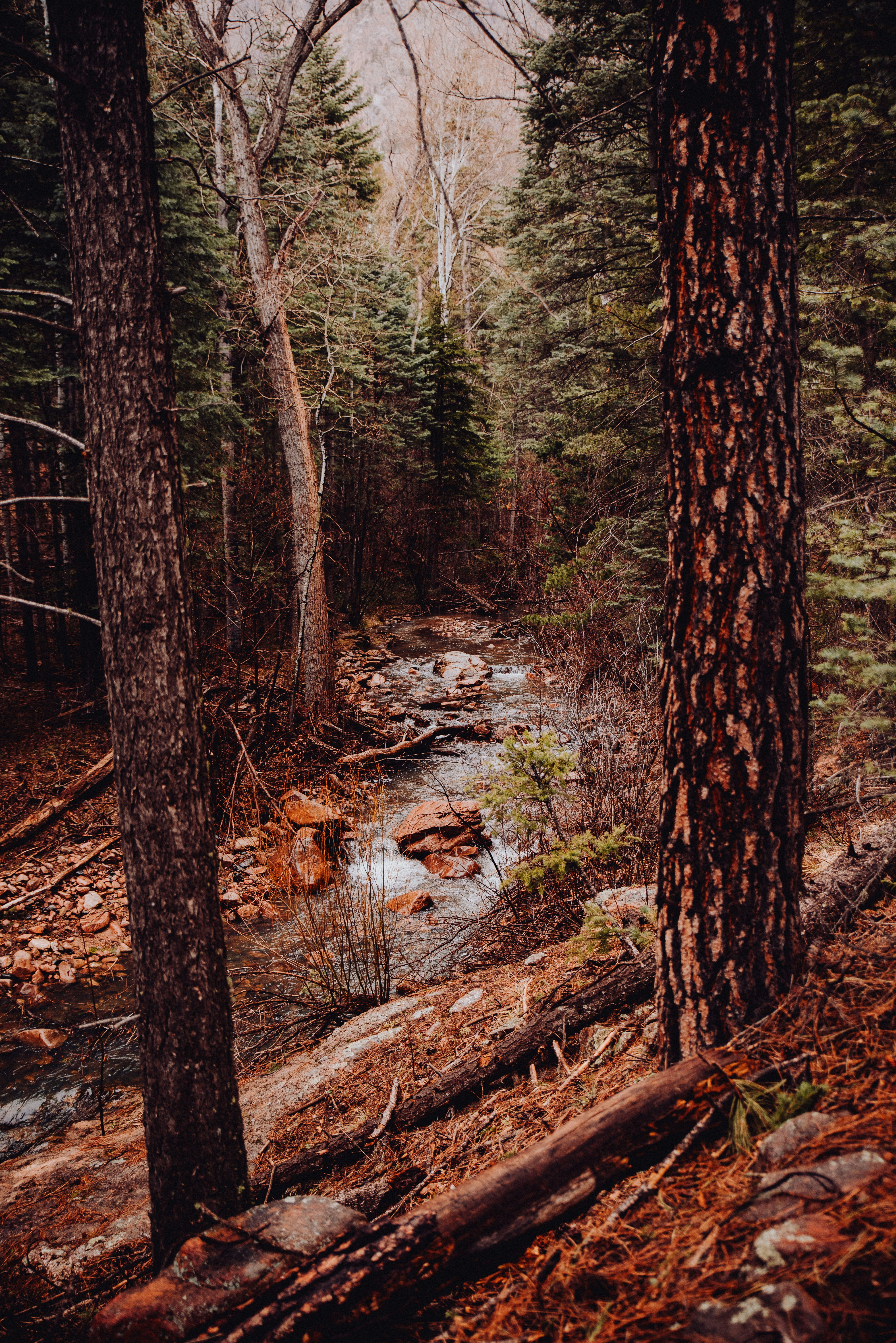 Photo by baileyal3xander