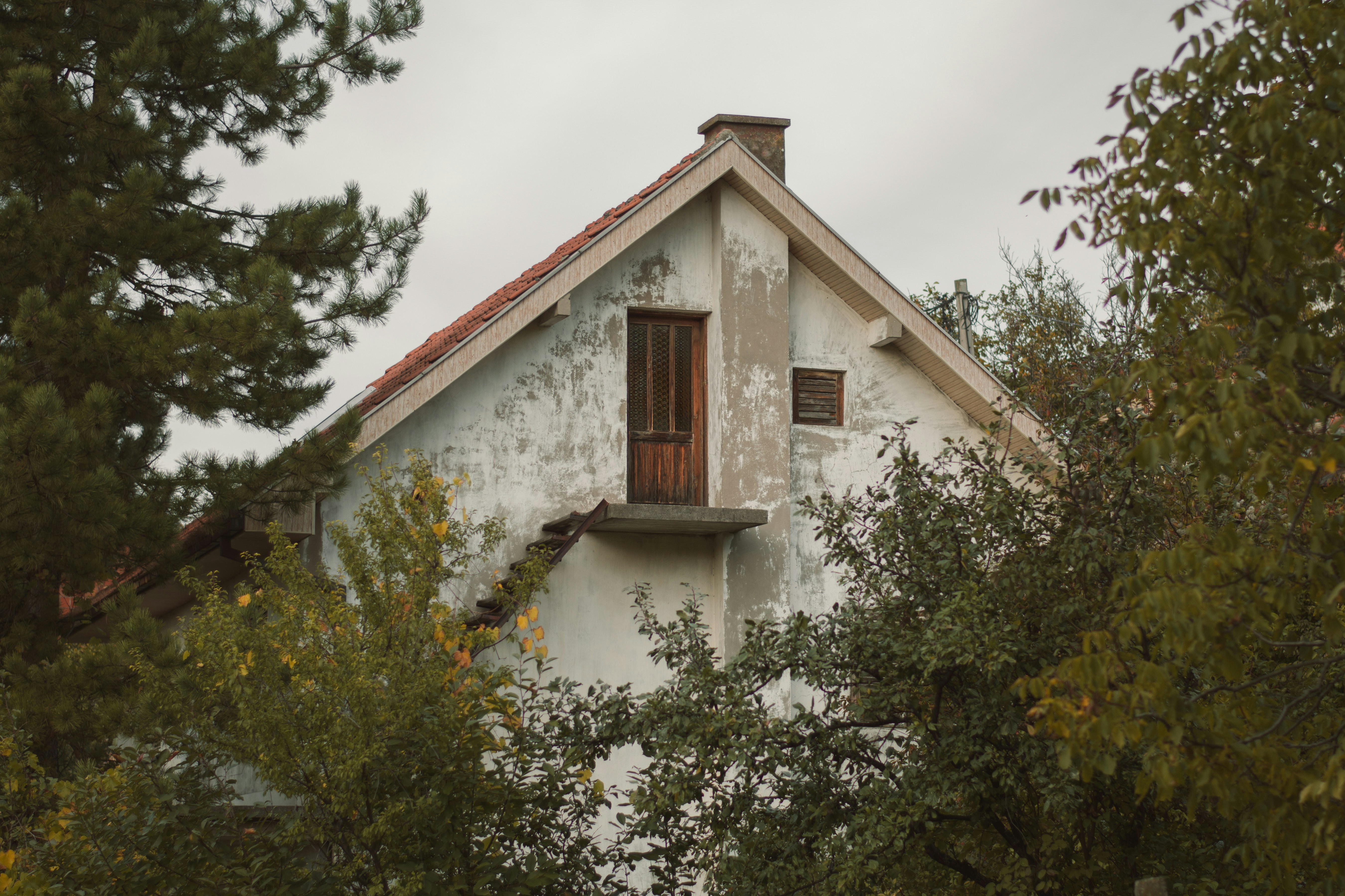 Photo by ivanaradevic