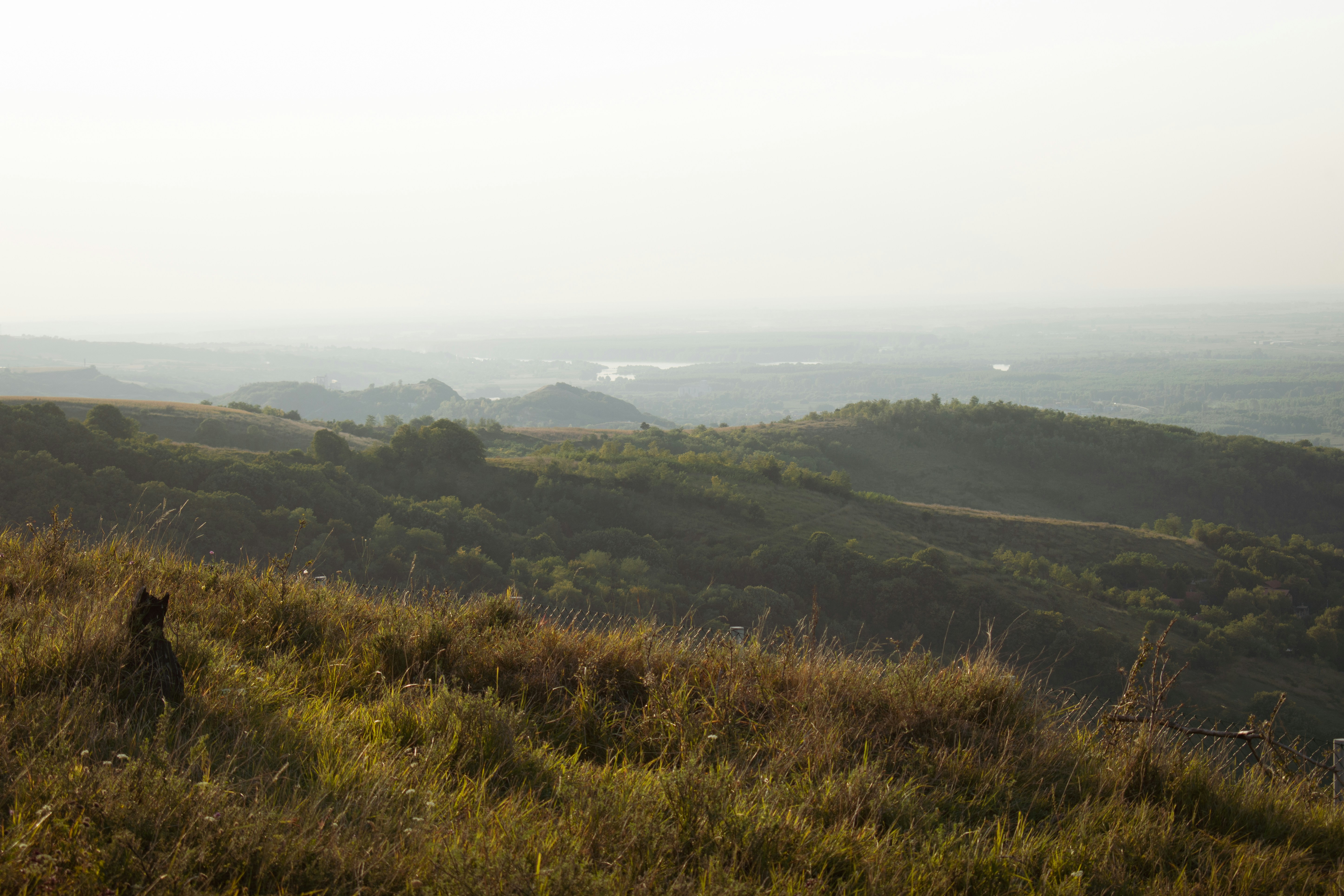 Photo by ivanaradevic