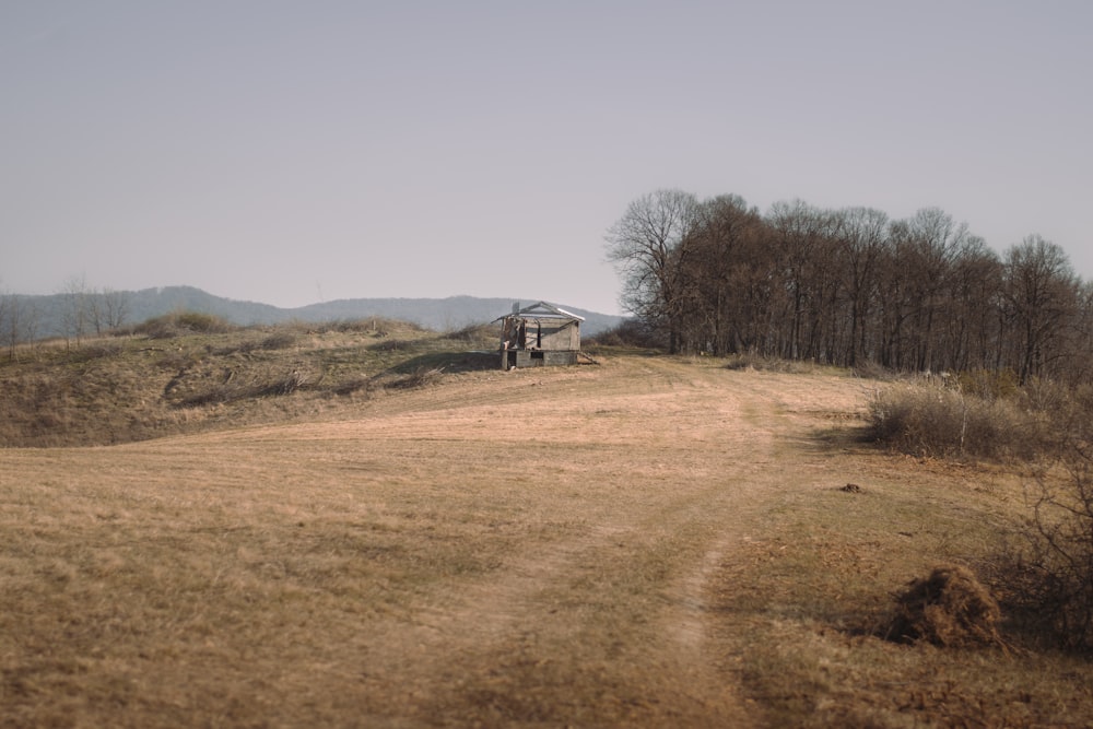 white and brown house on brown field during daytime