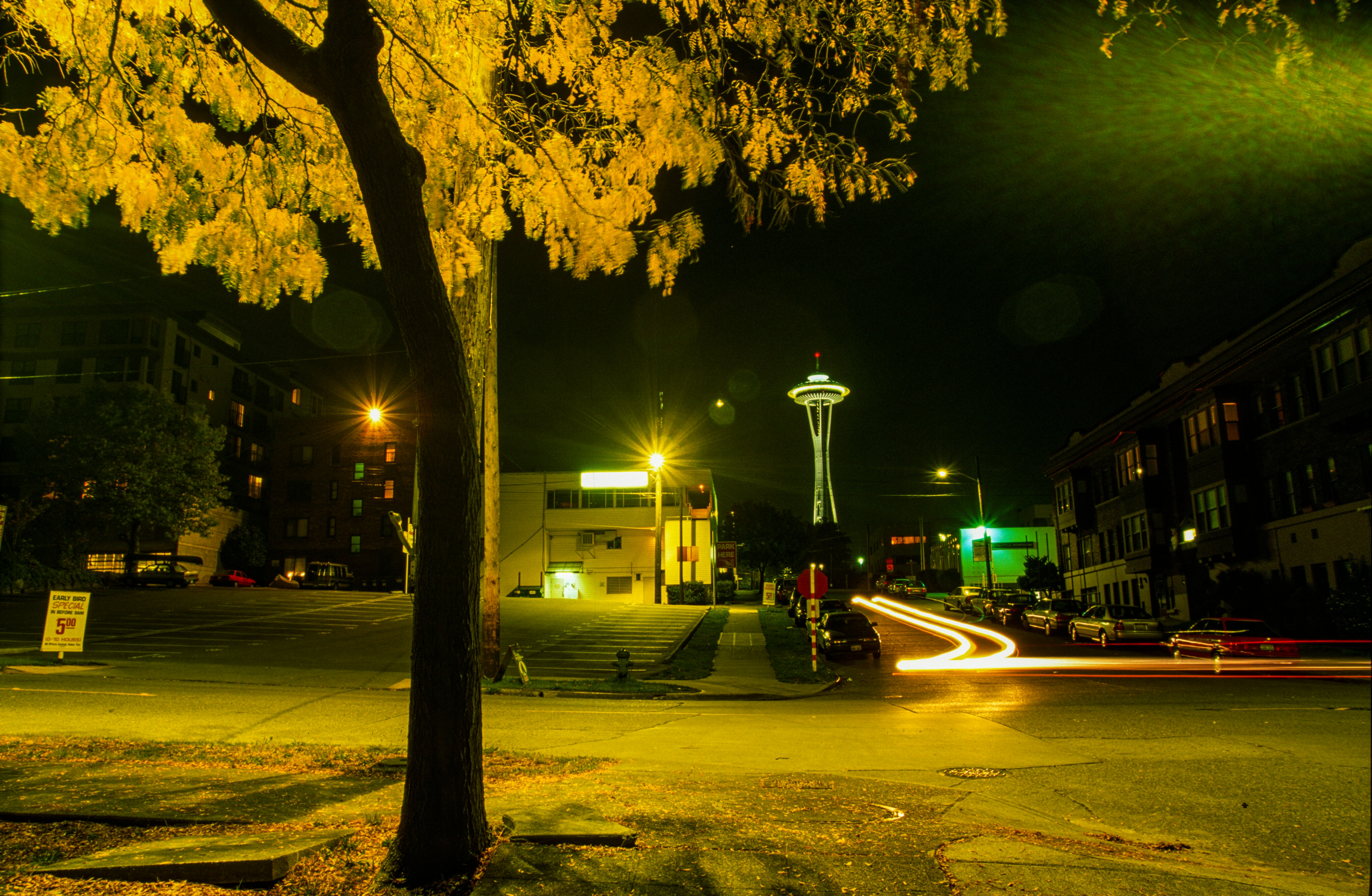 black street light near trees during night time