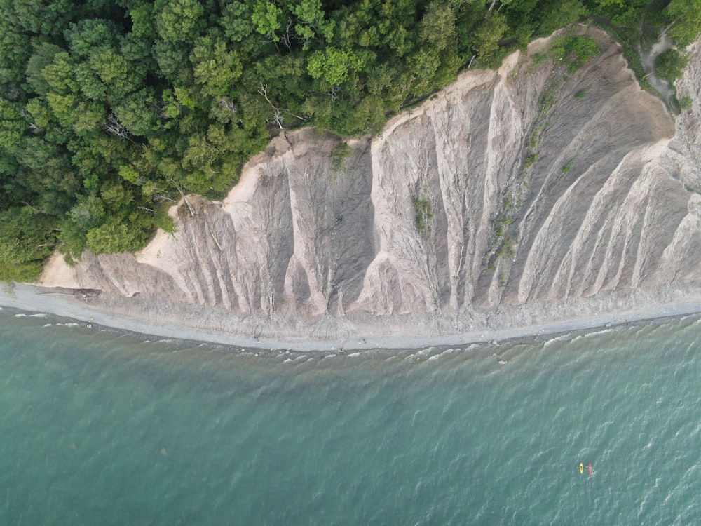 specchio d'acqua verde vicino agli alberi verdi durante il giorno