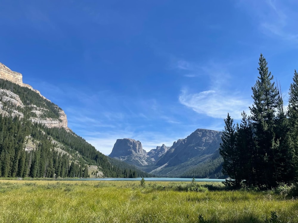 green trees near mountain under blue sky during daytime