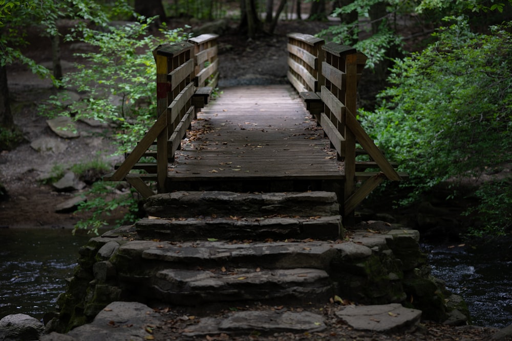 brown wooden stairs between green trees during daytime