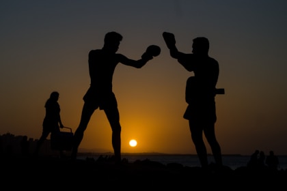 silhouette of 2 men standing on field during sunset