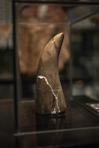 Angoli Purissimi