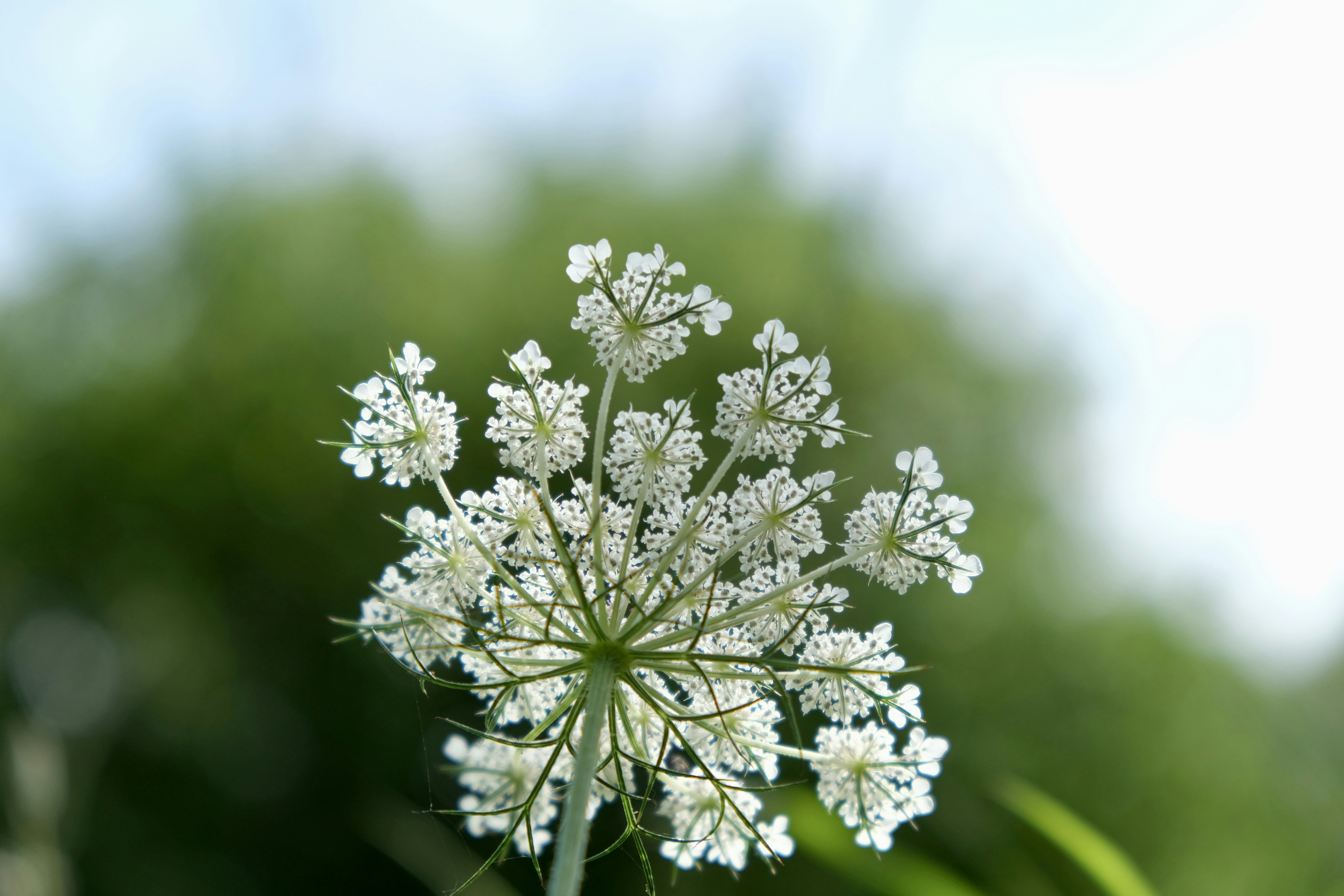 Photo by peter_heymans