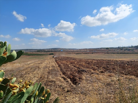 A vast agricultural landscape with a clear blue sky, scattered fluffy clouds, and distant hills. A dirt field stretches across the foreground with areas of plowed soil and wild vegetation, including some cactus plants in the foreground. A tractor appears in the distance, providing a sense of scale and activity.