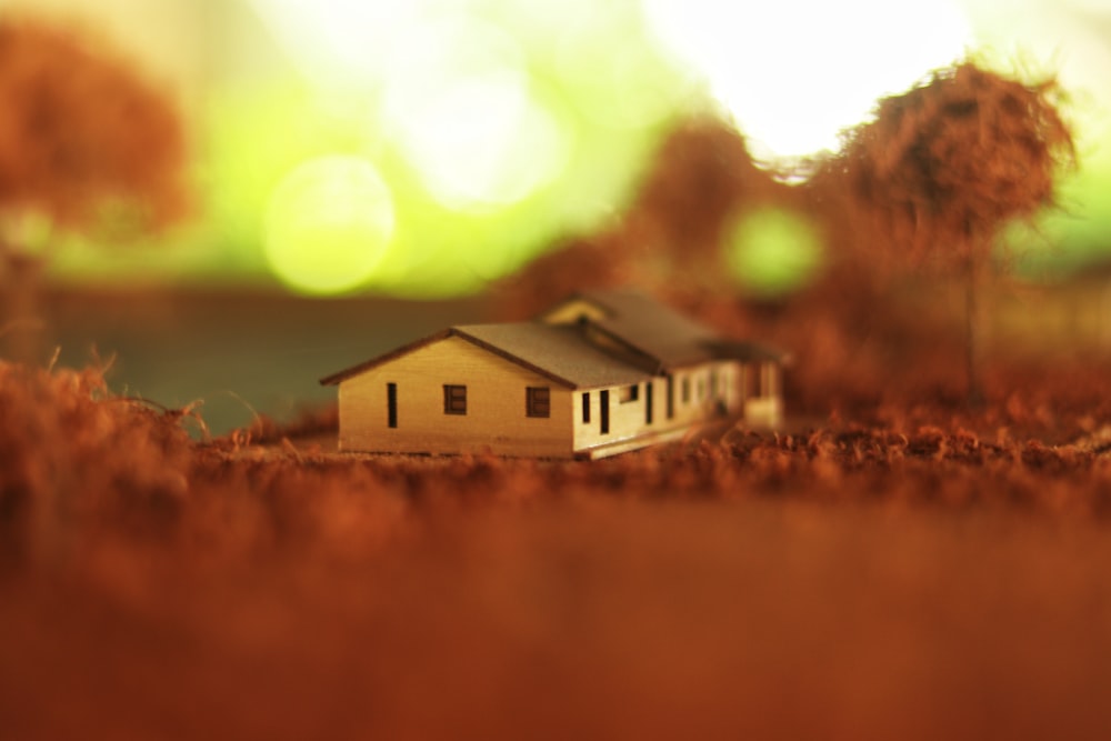 white and brown house beside body of water during daytime