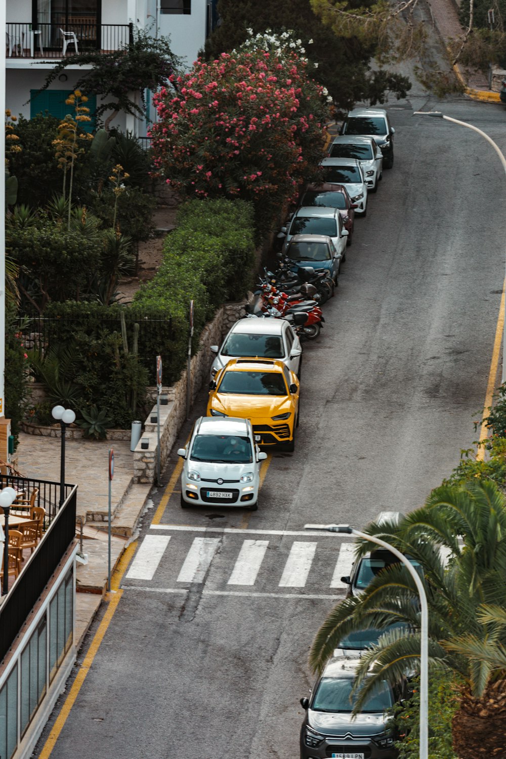 auto su strada durante il giorno