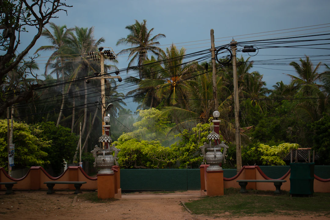 11-Day Sri Lanka Family Itinerary & Travel Guide