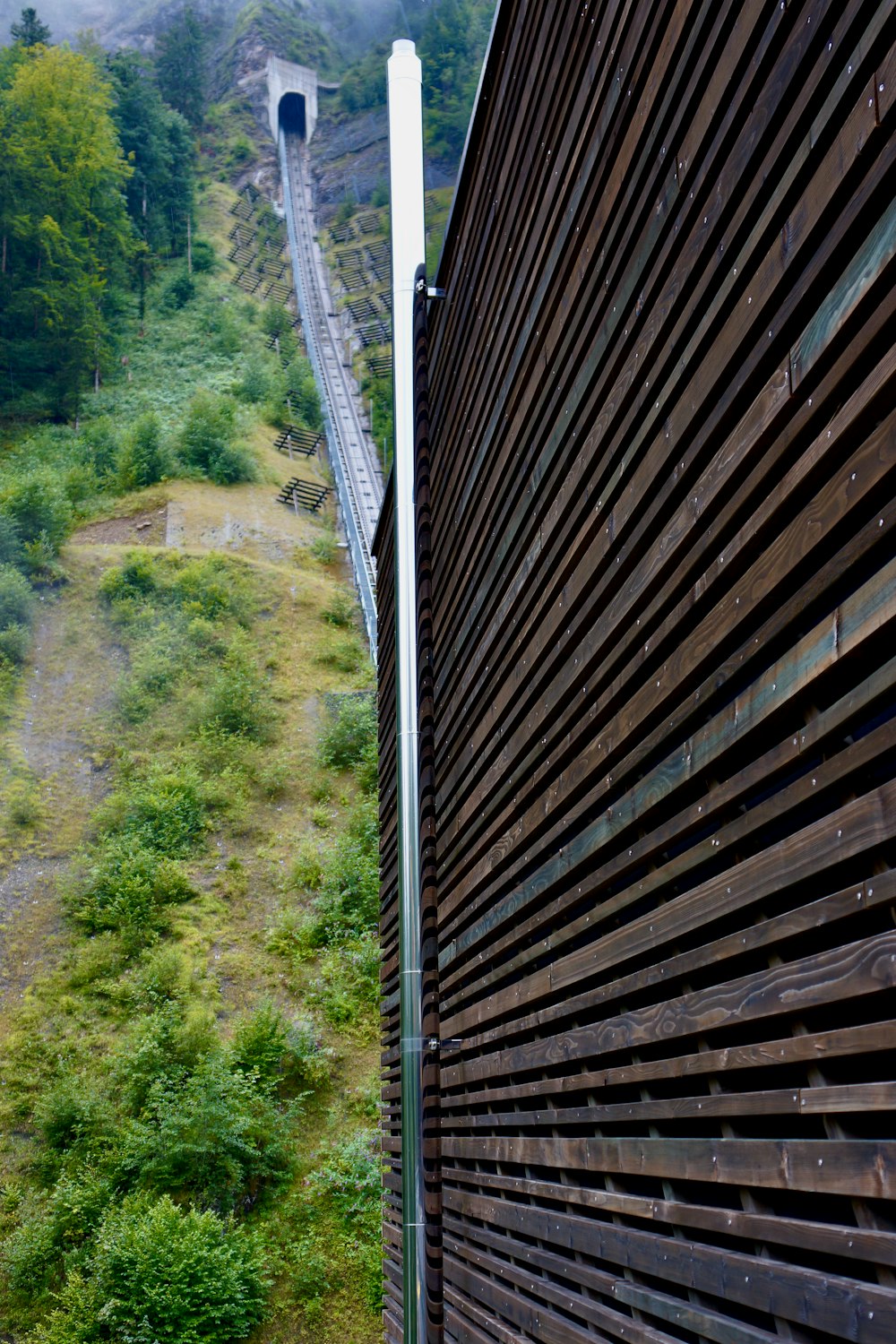 brown wooden bridge over green trees during daytime