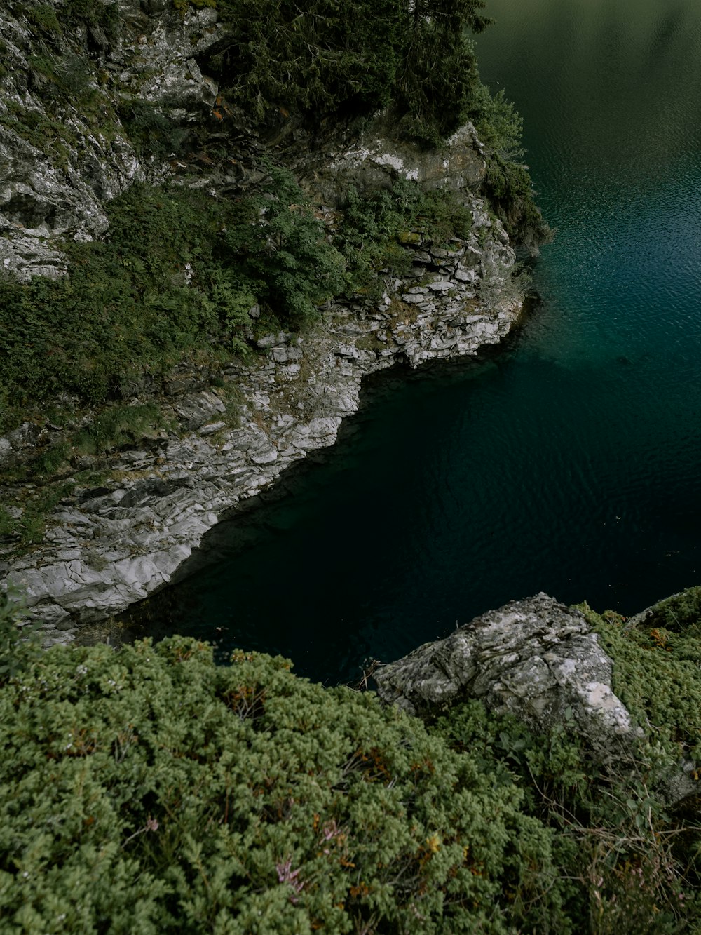 昼間の青い水域のそばの緑と灰色の岩山