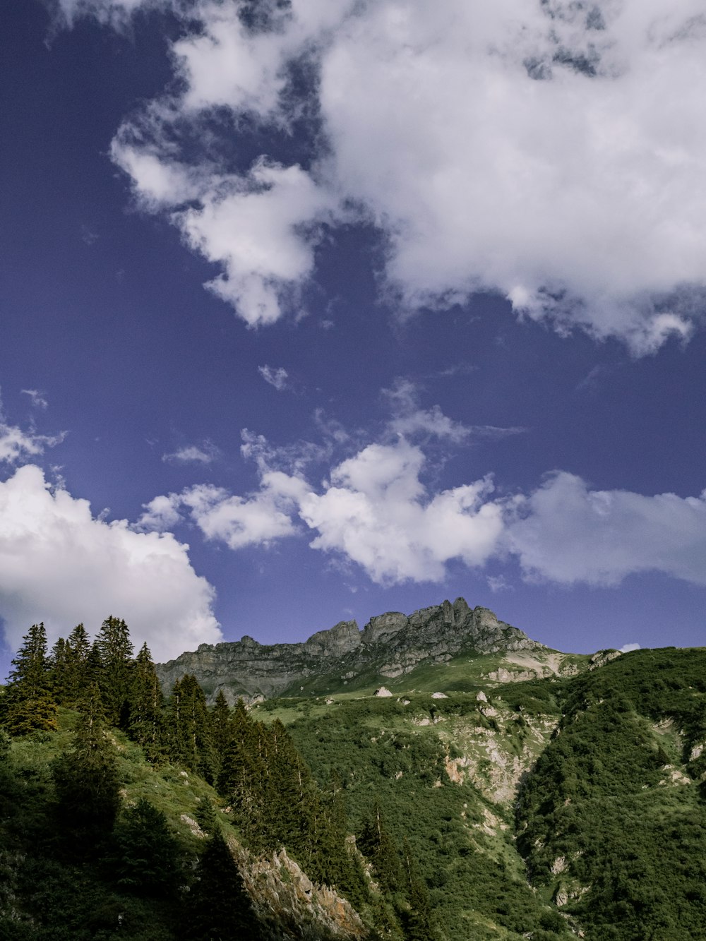 árboles verdes en la montaña bajo el cielo azul y nubes blancas durante el día