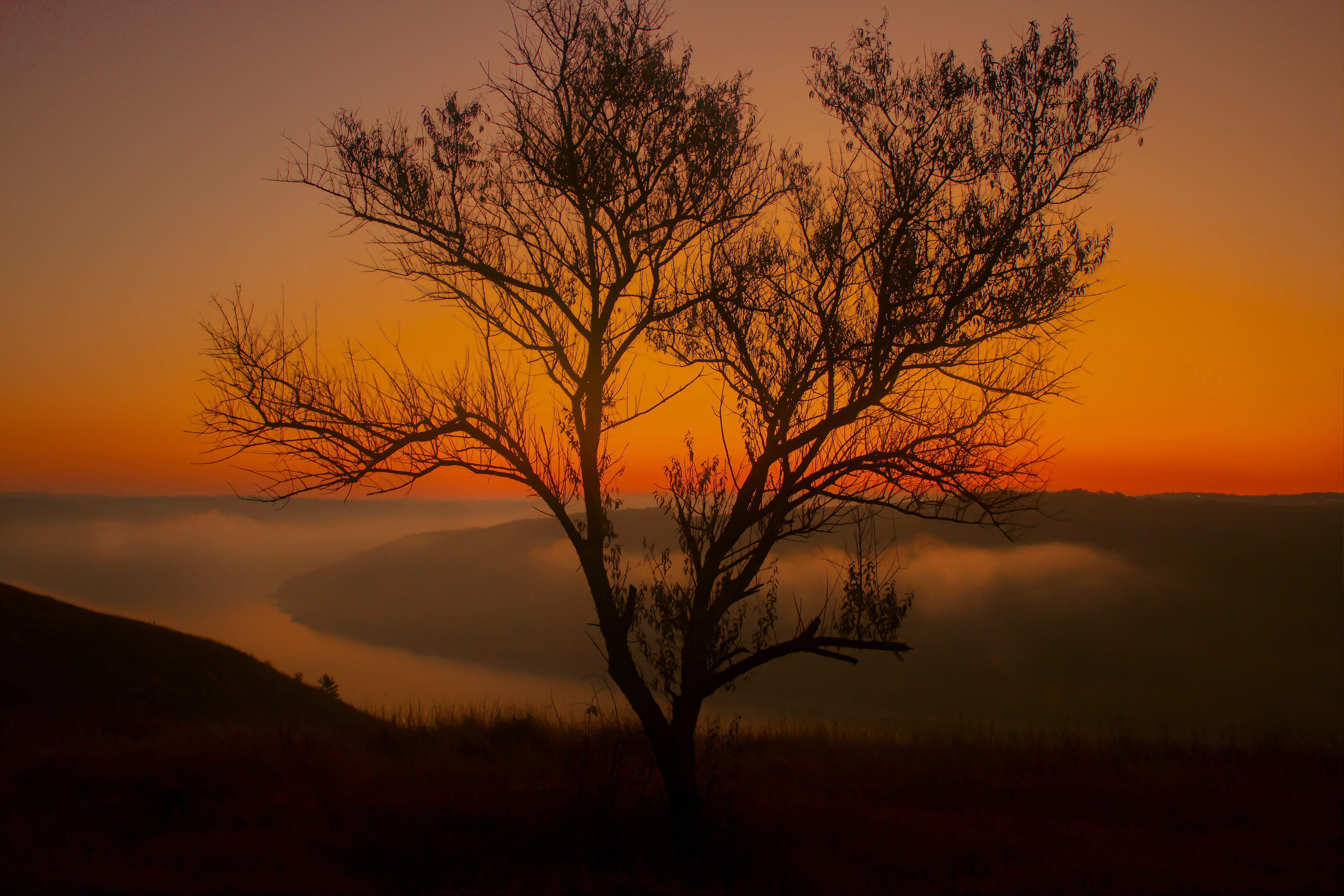 Photo by rostislavbudzan