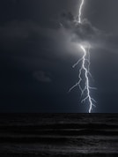 leafless tree on the beach under white clouds